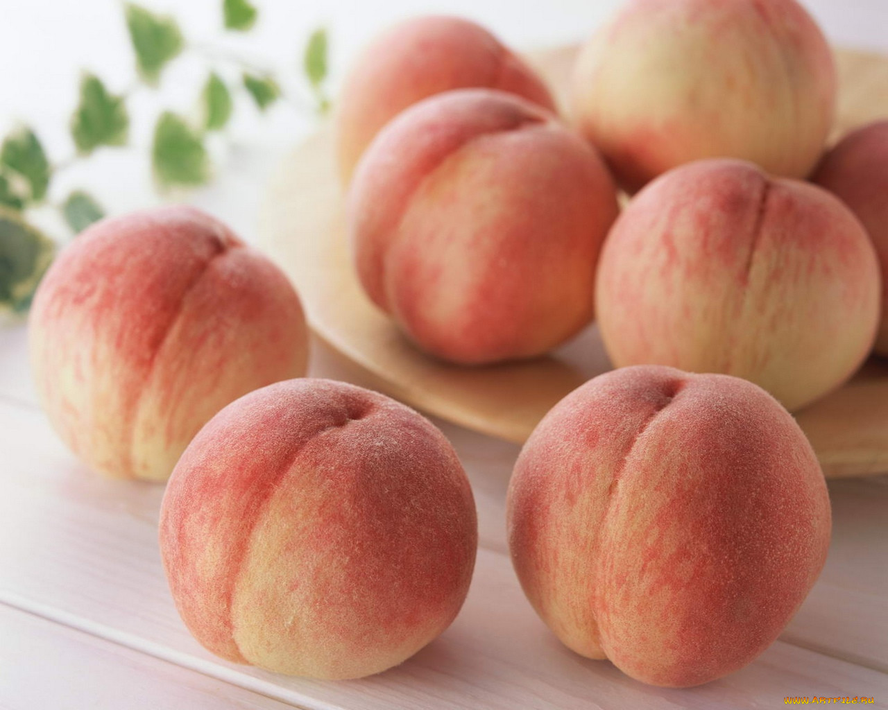Love peaches photos