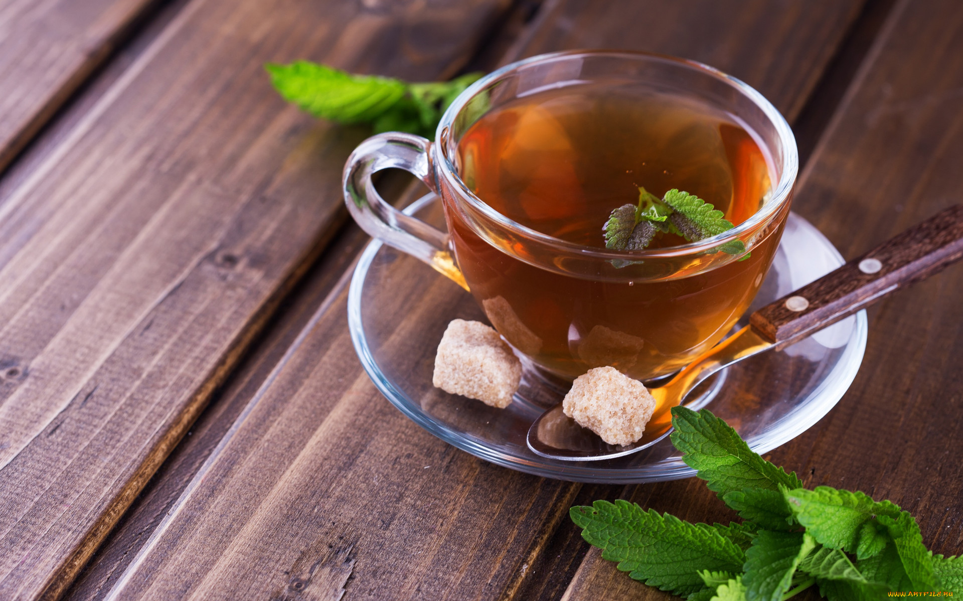 1920x1200_844014_%5Bwww.ArtFile.ru%5D.jp