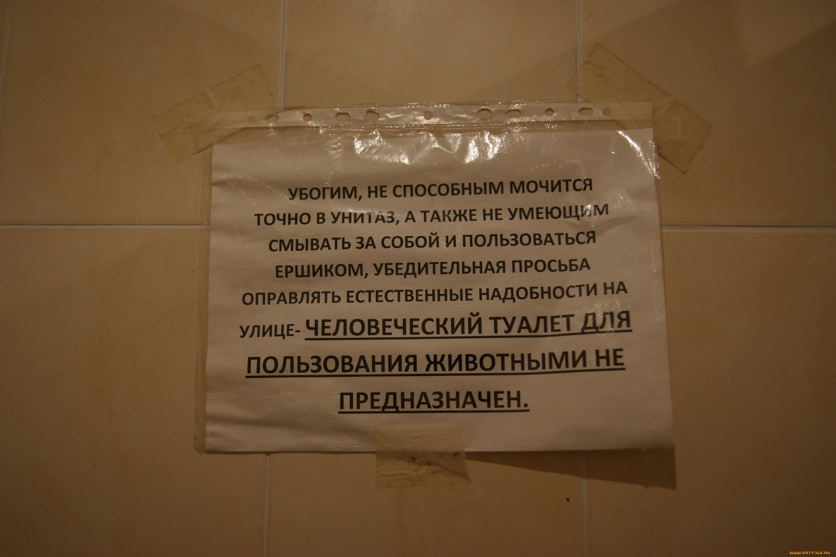 Приколы фото общежития Приколы фото общежития