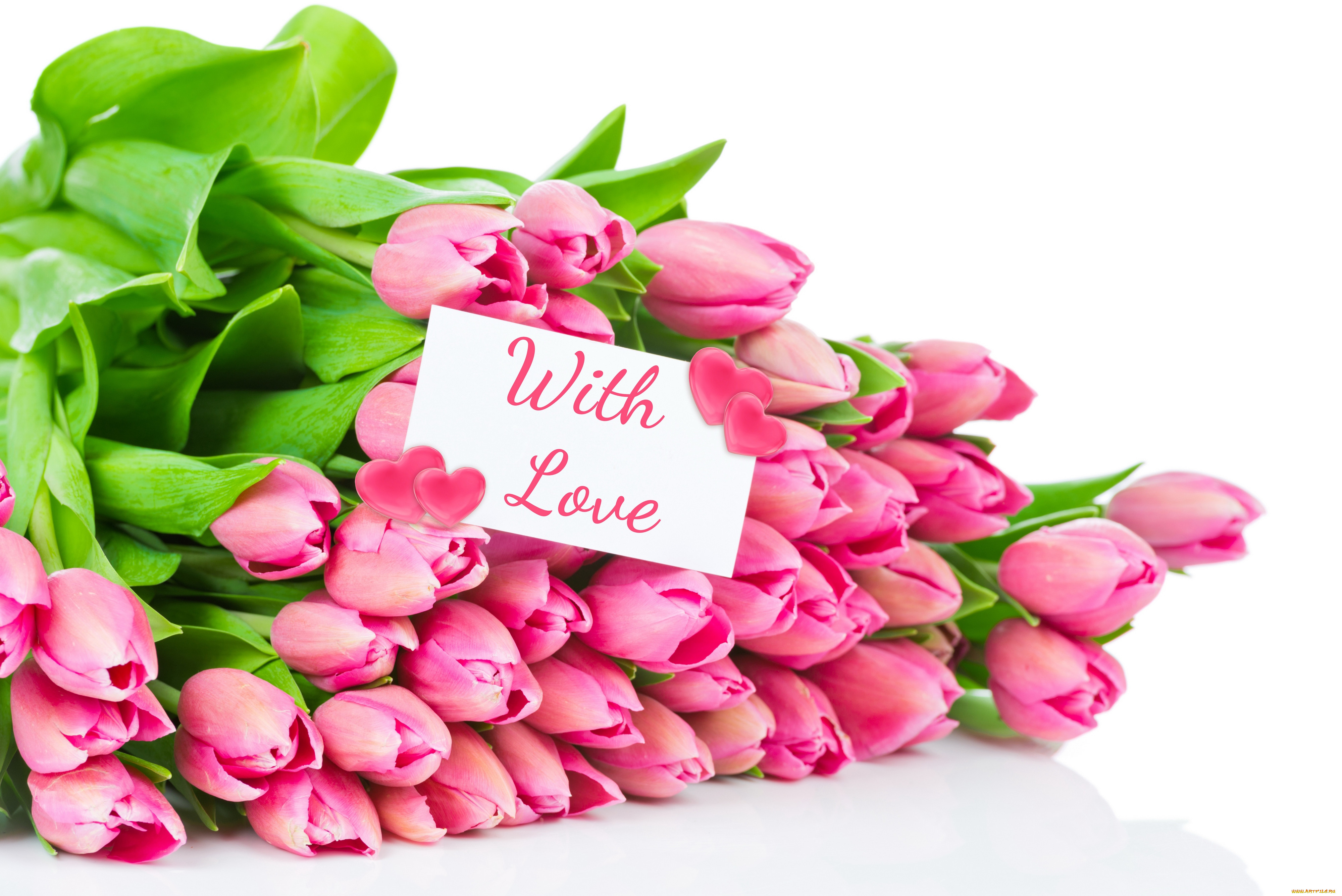 55 Лет Женщине Поздравления Картинки Тюльпаны