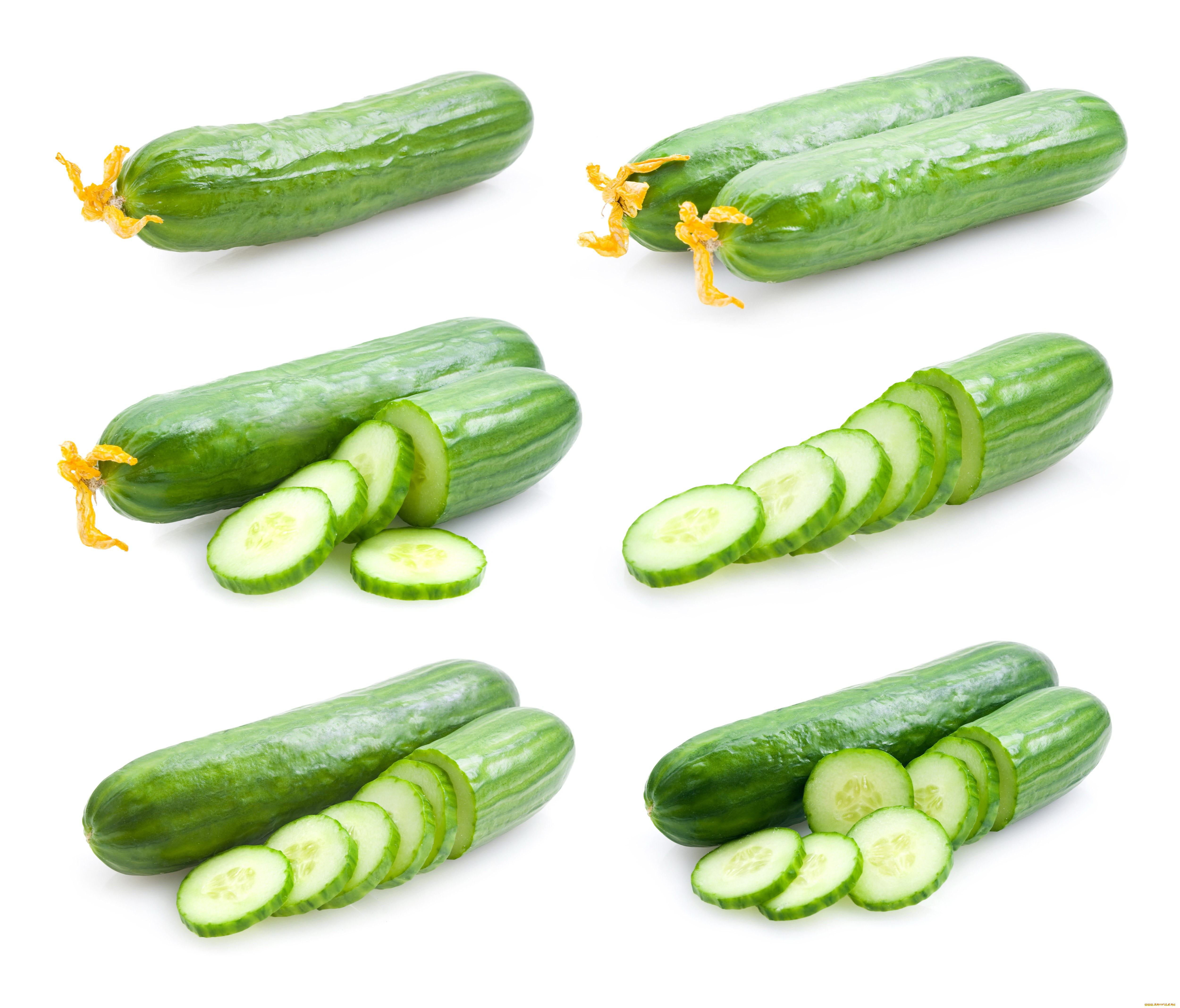 Sitting cucumber