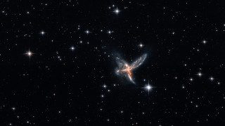 ESO 593-8 - The Bird