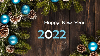 новый 2022 год, еловая ветка, шишки, новогодние игрушки