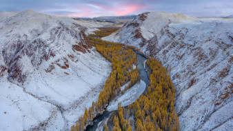 россия, природа, зима, ручьи, холодный лед, алтайские горы