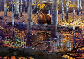 лес, осень, медведь, лужа