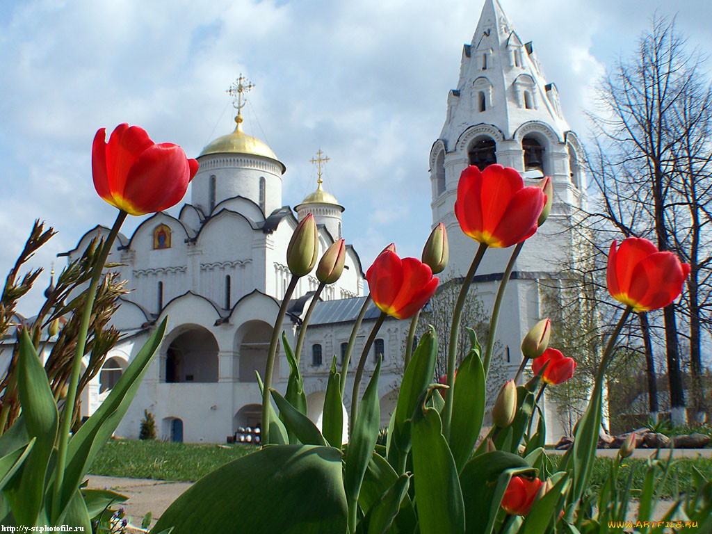 Церковь цветы