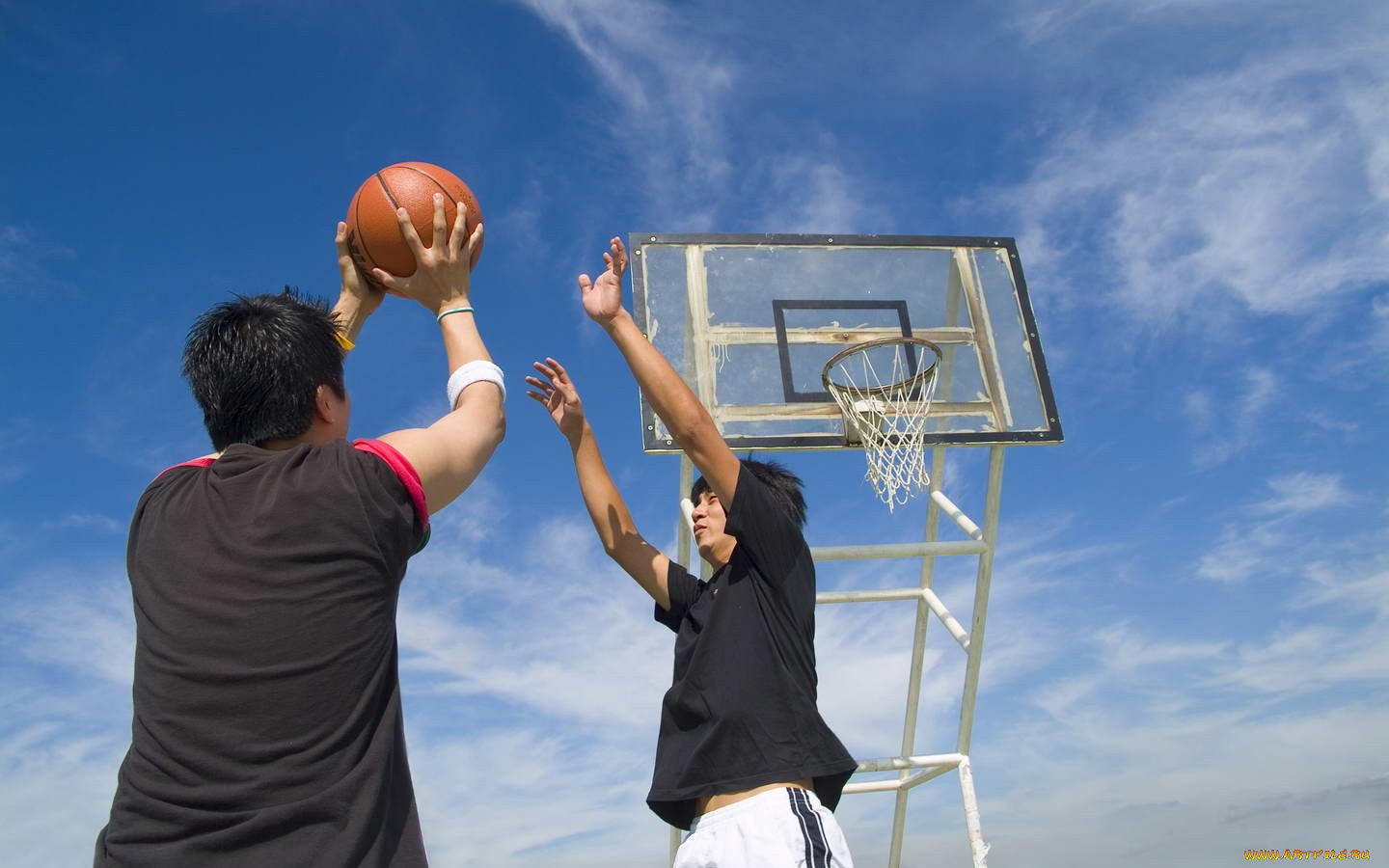 Футбол хоккей теннис волейбол. Игра баскетбол. Образ жизни баскетбол. Баскетбол картинки. Летние спорт баскетбол.