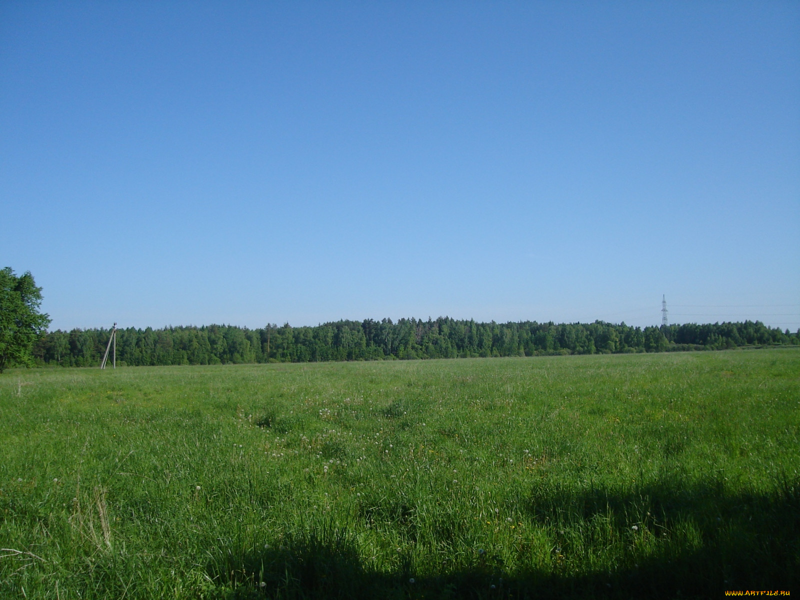 1200 гектар. Деревня Козулинцы Кировская область. 100 Гектаров в городе. Давыдово (Волоколамский район).