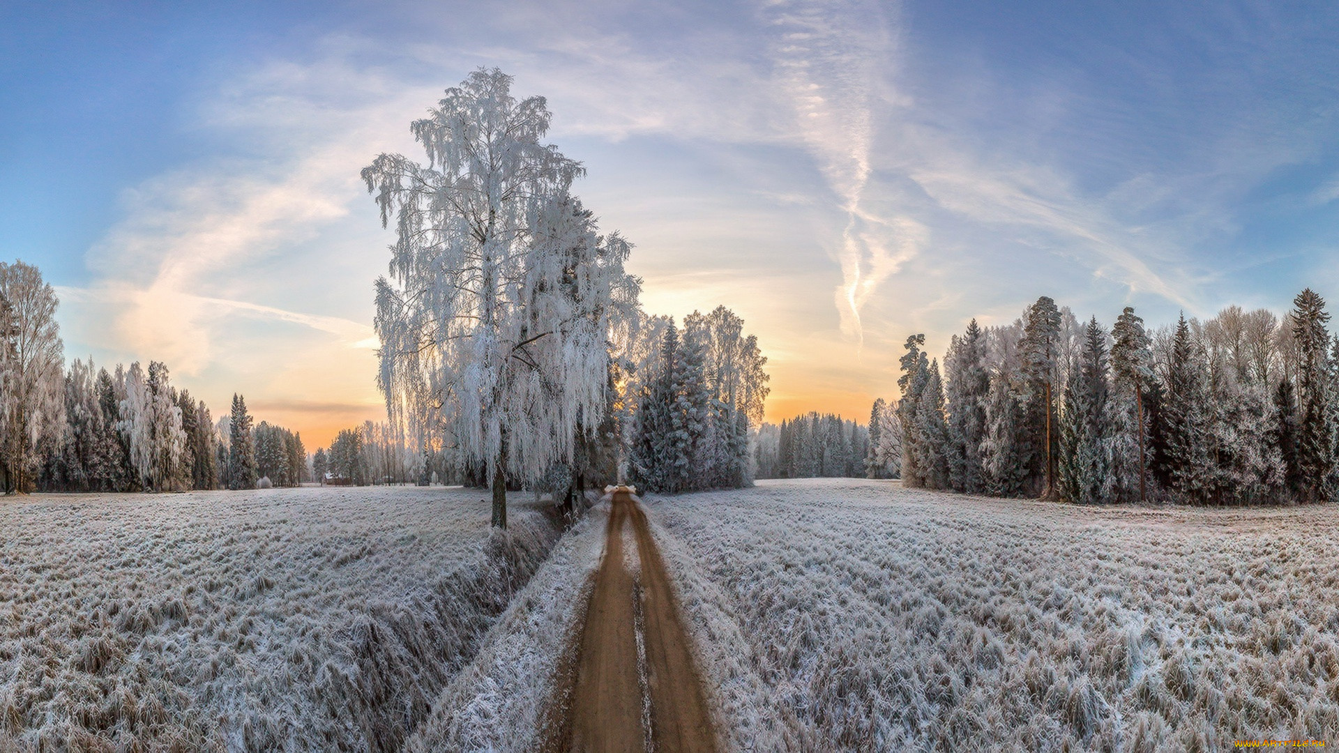 Фотографии Зимы И Лета