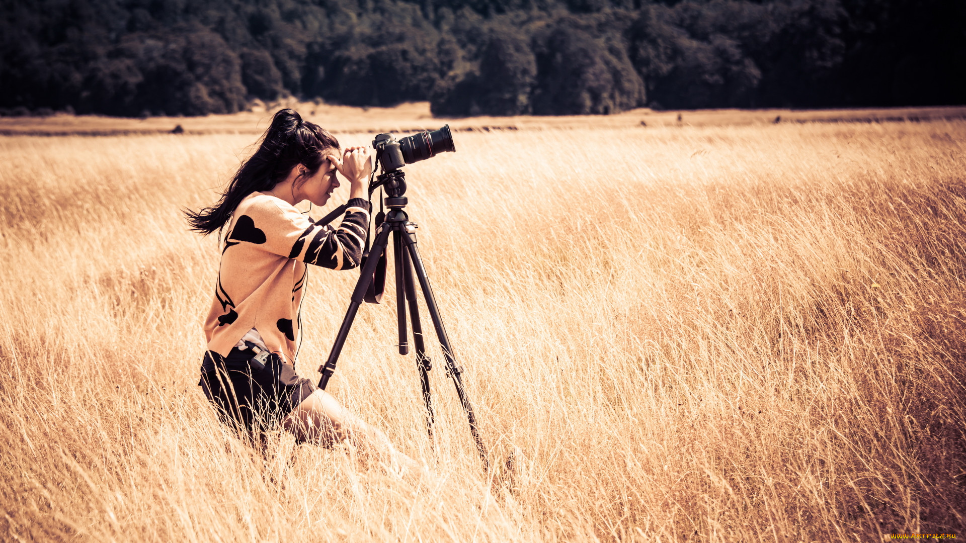 Продажа фото на фотостоках