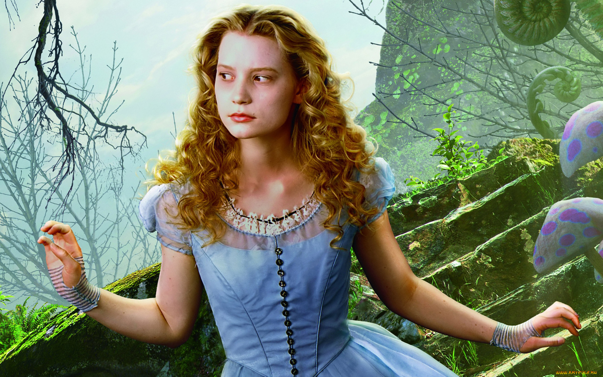 Alice in wonderland фото