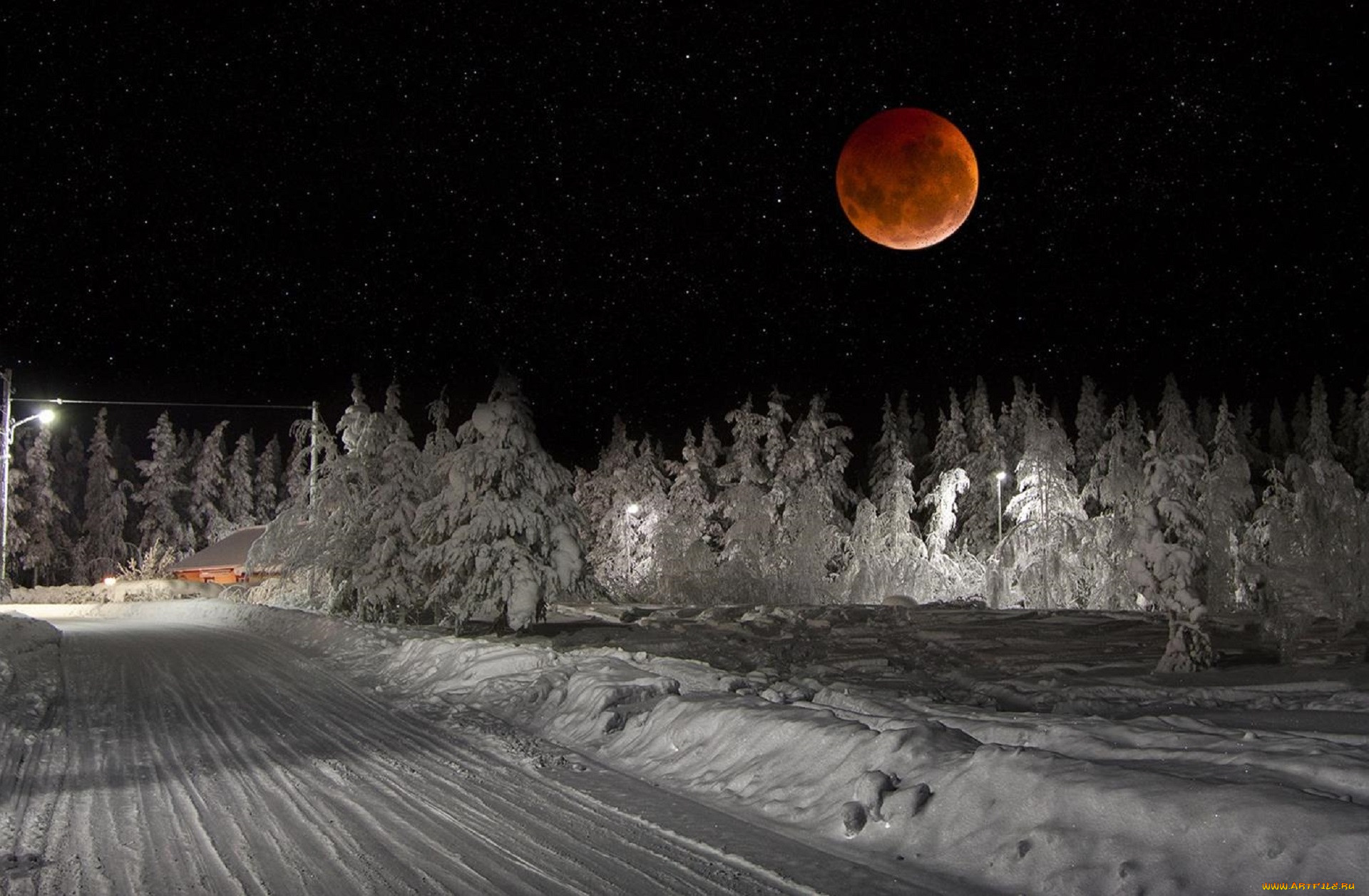 Фото Зимы Ночью