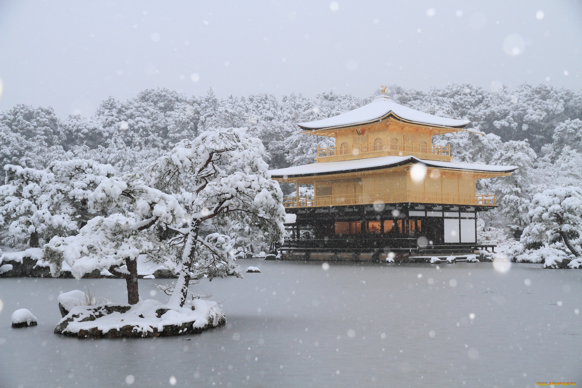 Winter japan. Золотой храм Киото зима. Храм Киото зимой. Зима в Киото Япония. Храм Натадэра в Японии.