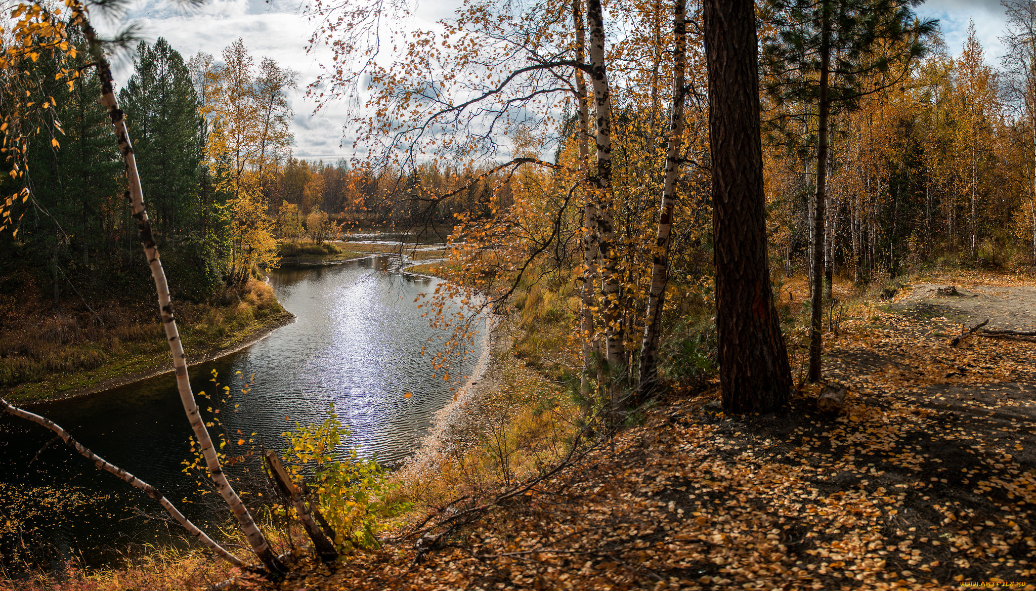 Река октябрь. Ракитин осенняя река. Осень природа лес речка. Осень лес речка. Октябрь лес река.