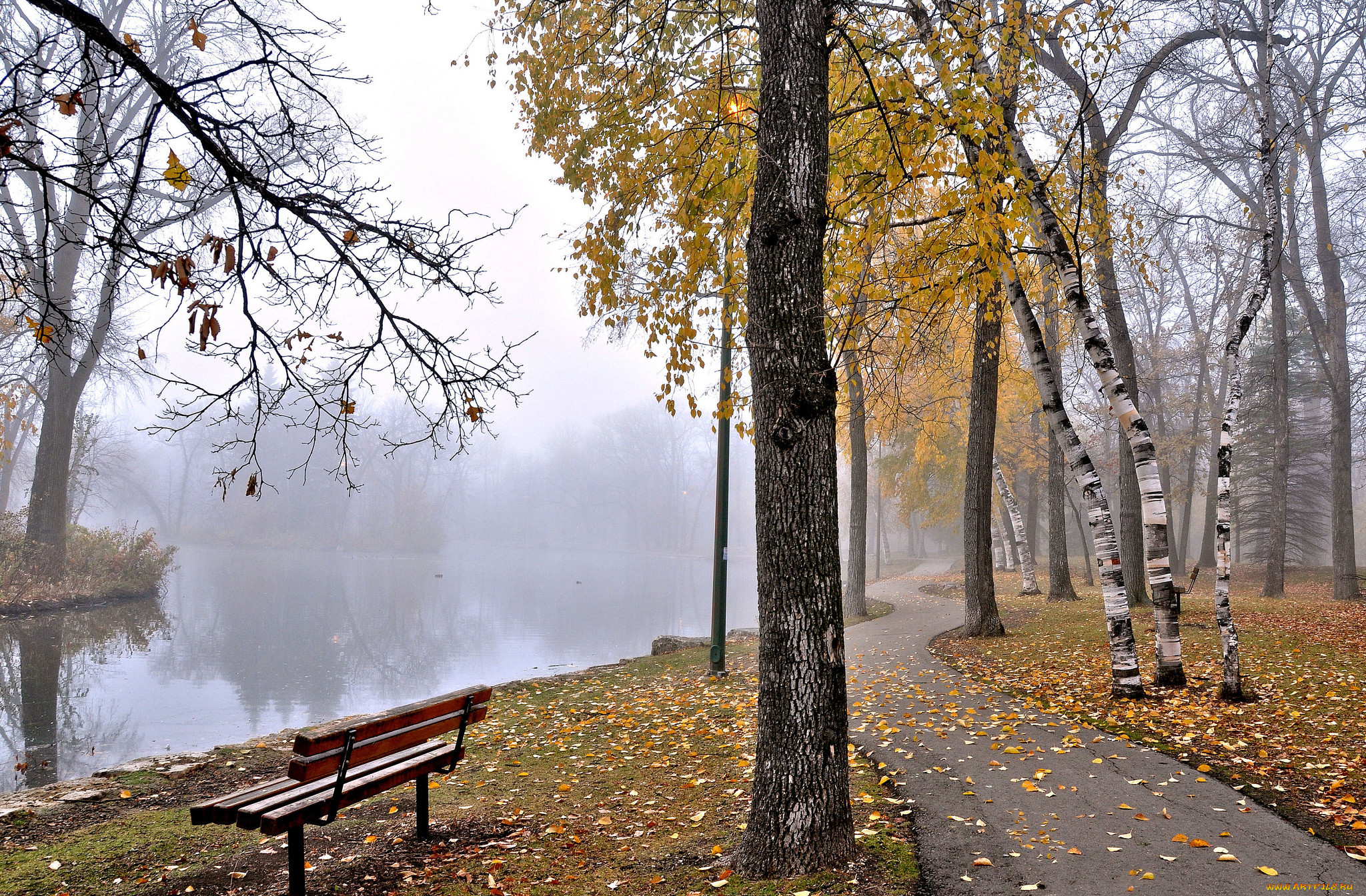 Парк В Октябре Фото