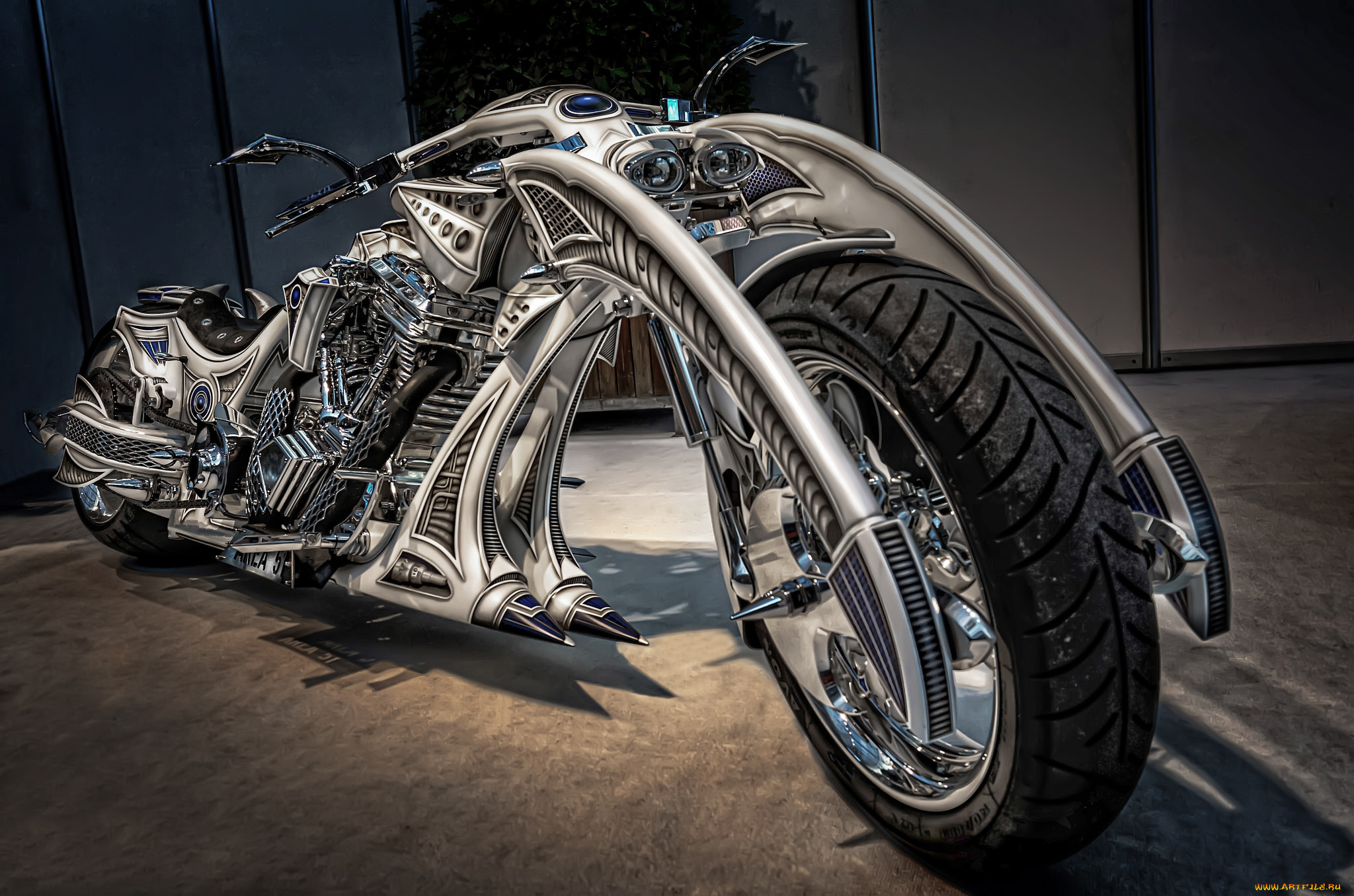 Custom Bike