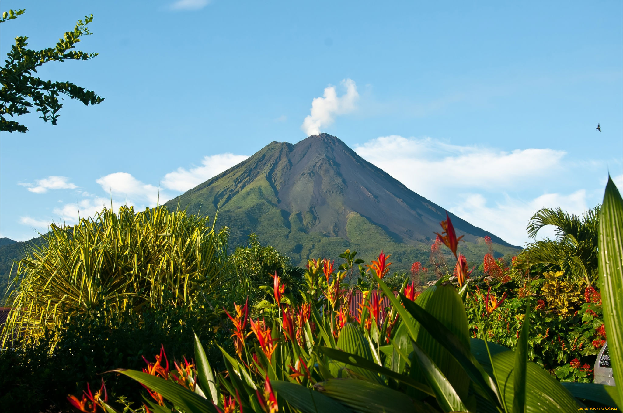 Acompañantes Costa Rica