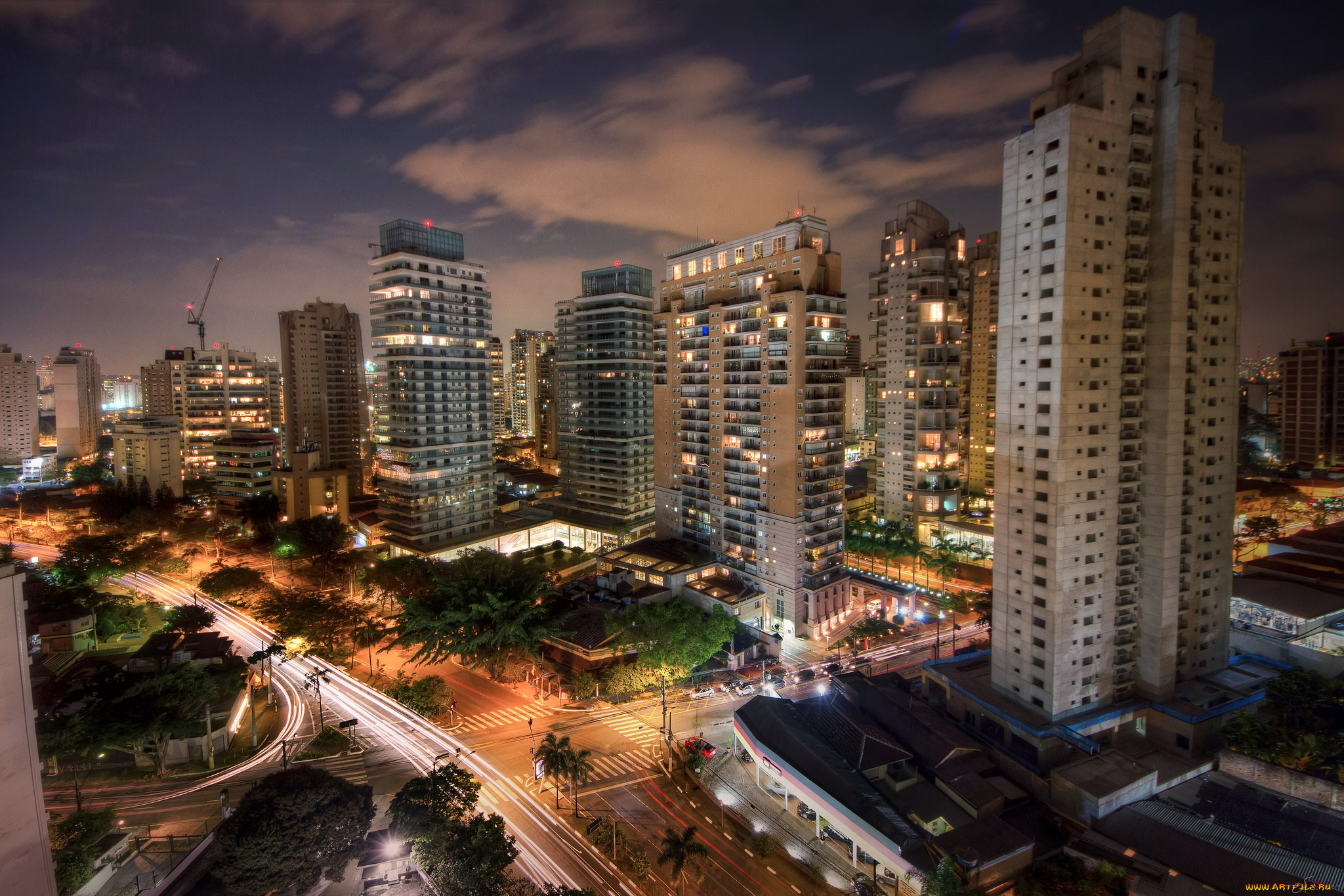 Sao Paulo Trannies