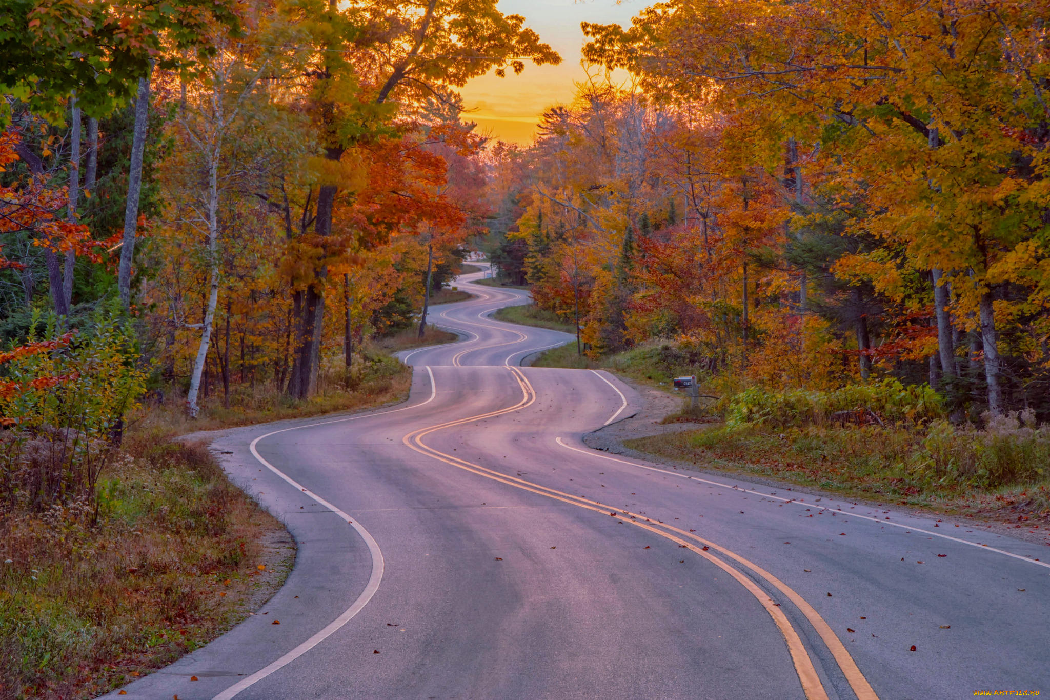 Дорогие Картинки Фото