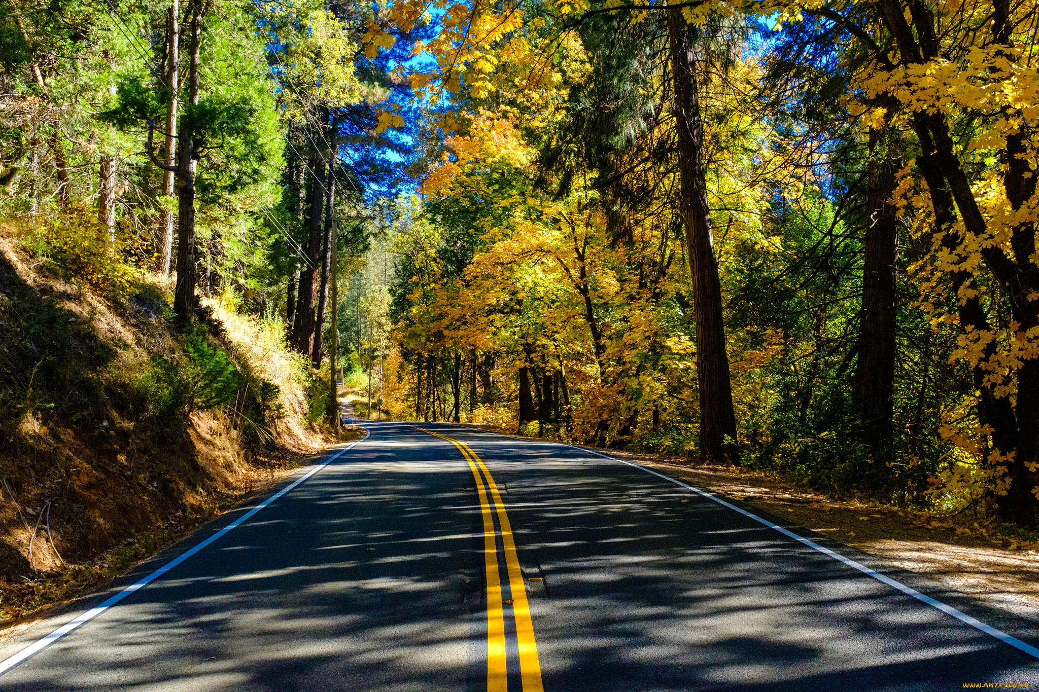 Обои дороги на столе. Осенняя дорога. Красивые дороги. Природа дорога. Дорога в лесу.