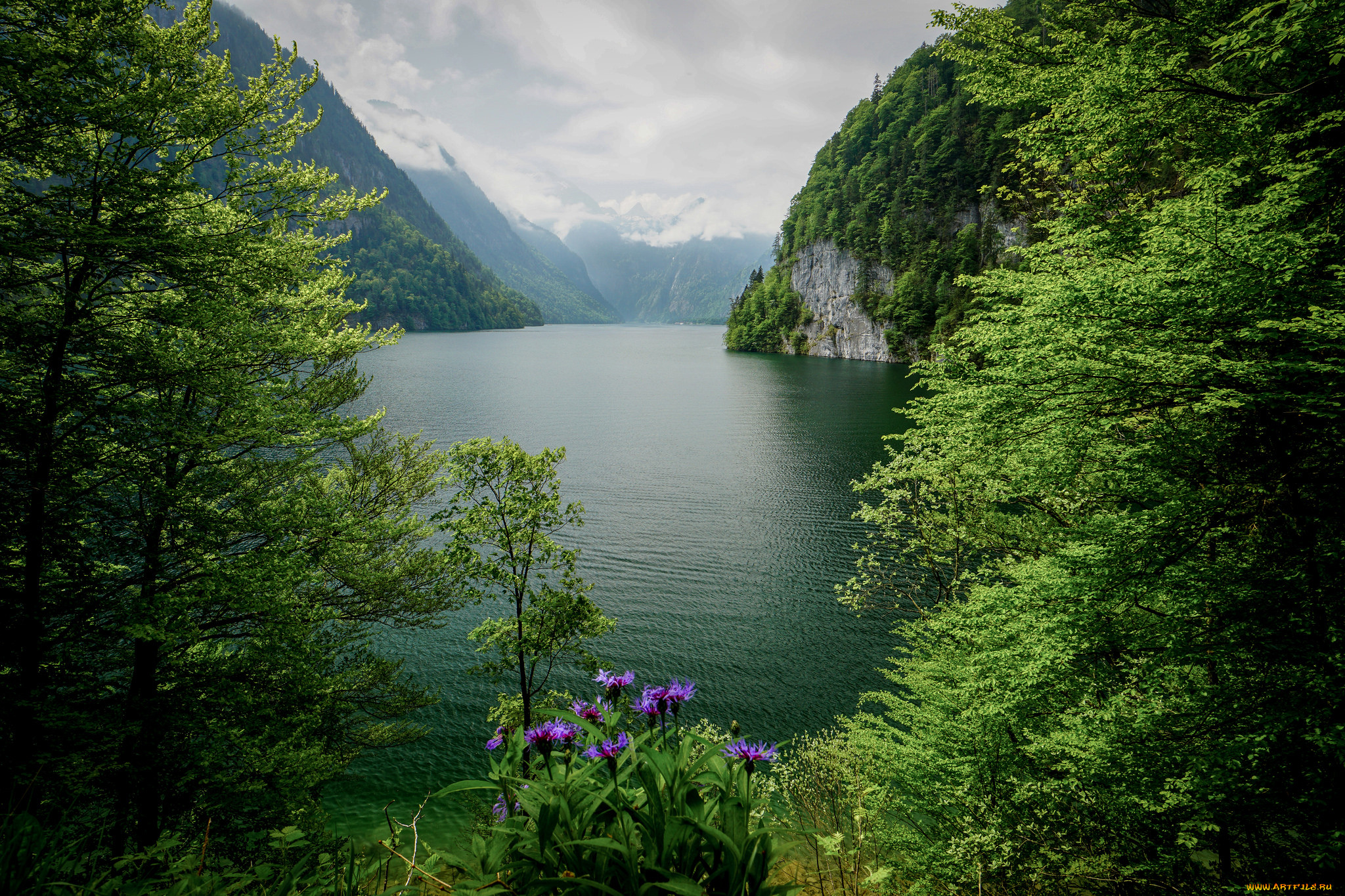 Картинки Лес Море Горы