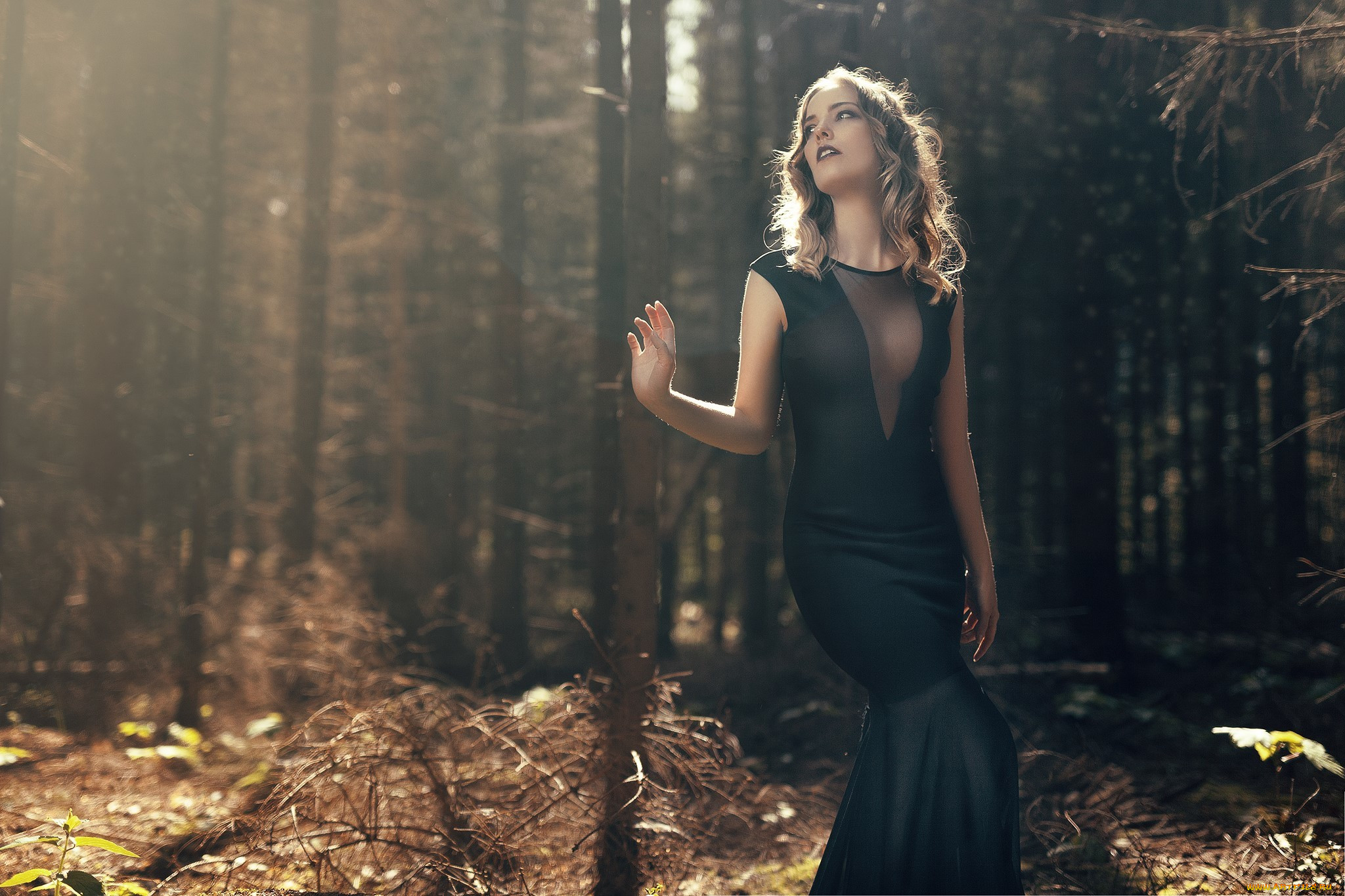 Фото в лесу в длинном платье