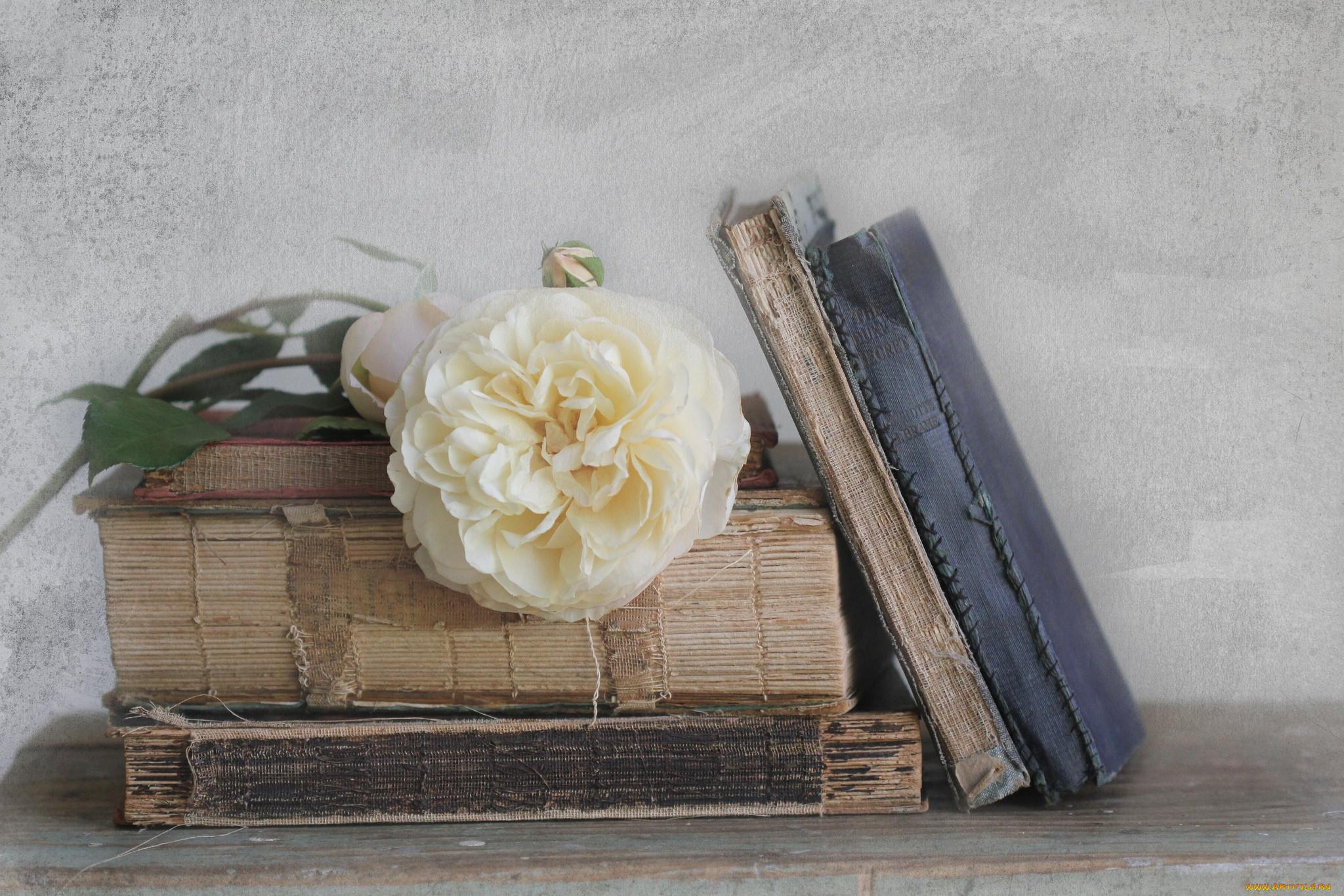 Книги открытки старые. Старинные книги. Книга цветы. Красивые книги. Книжные цветы.