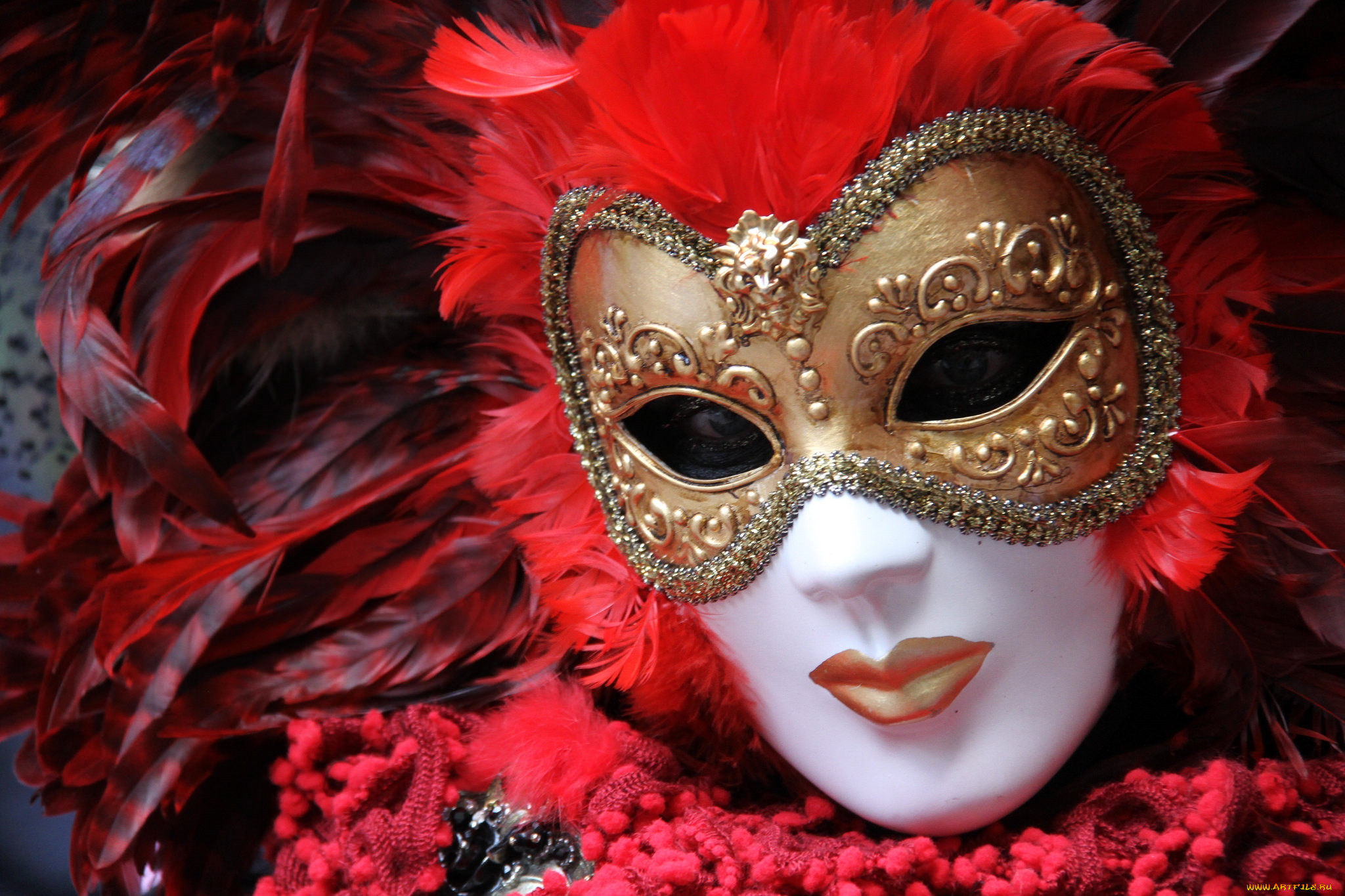 Виды масок. Карнавальная маска. Театральные маски. Маска для карнавала. Красная маска.