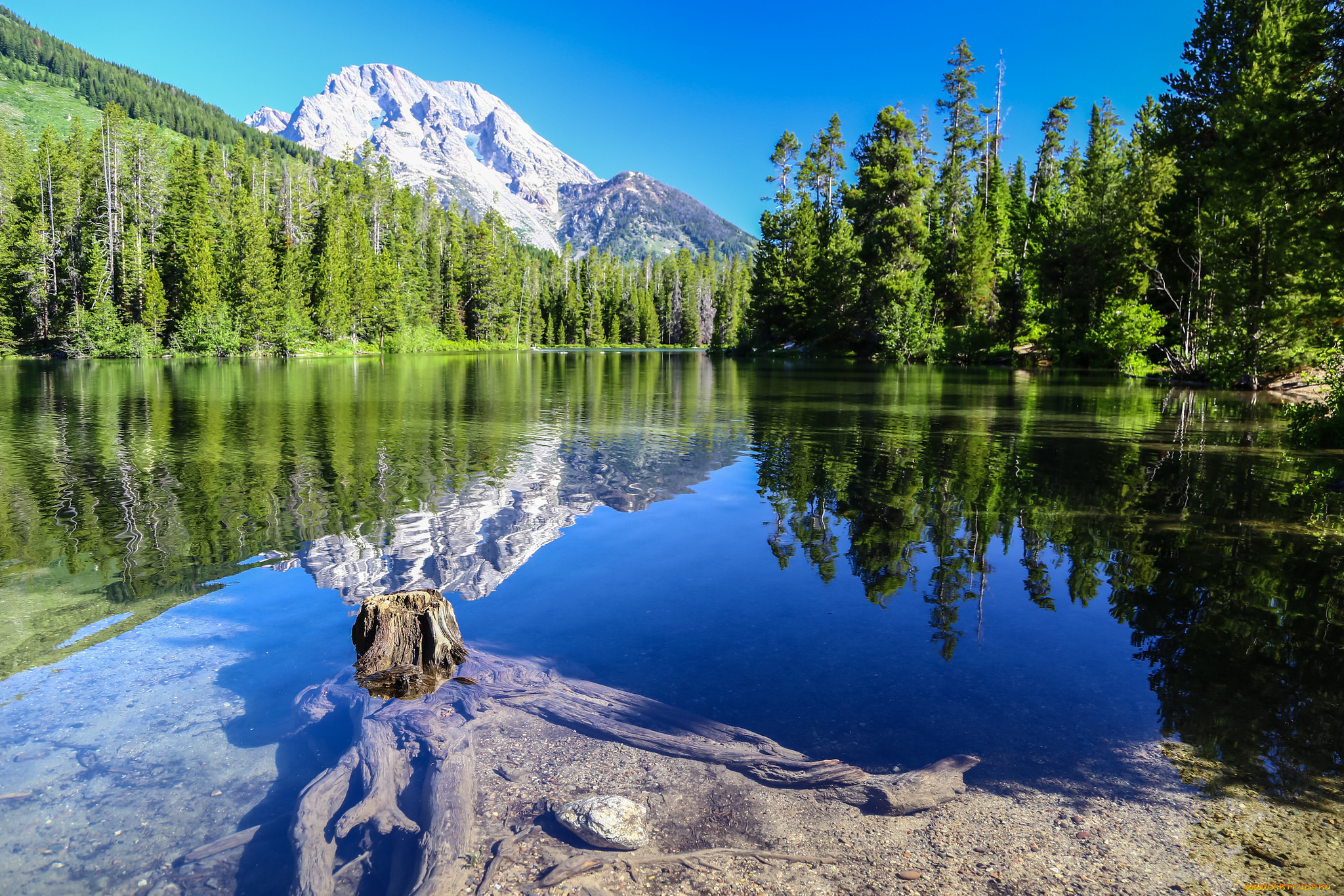 Картинки горы лес вода