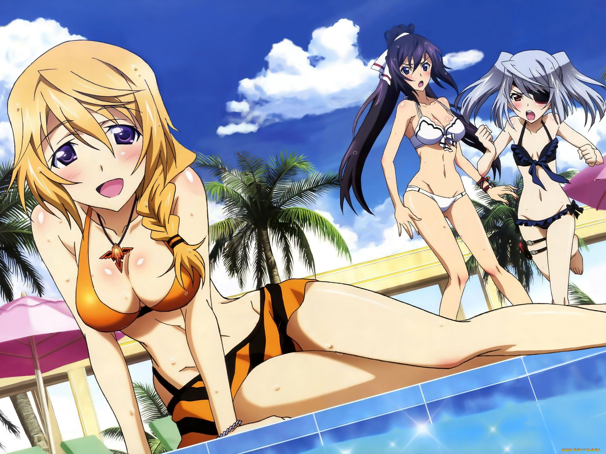 Необъятный это. Infinite Stratos гарем. Необъятные небеса is Infinite Stratos.