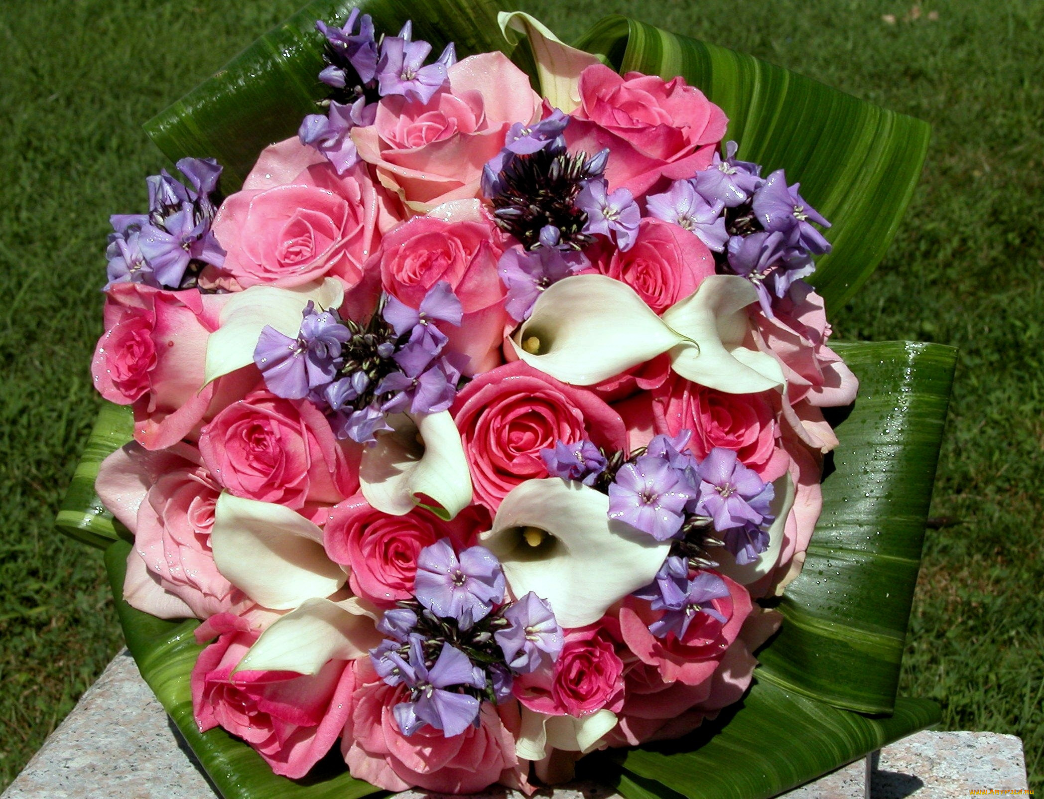 Фото букет красивых цветов для девушки