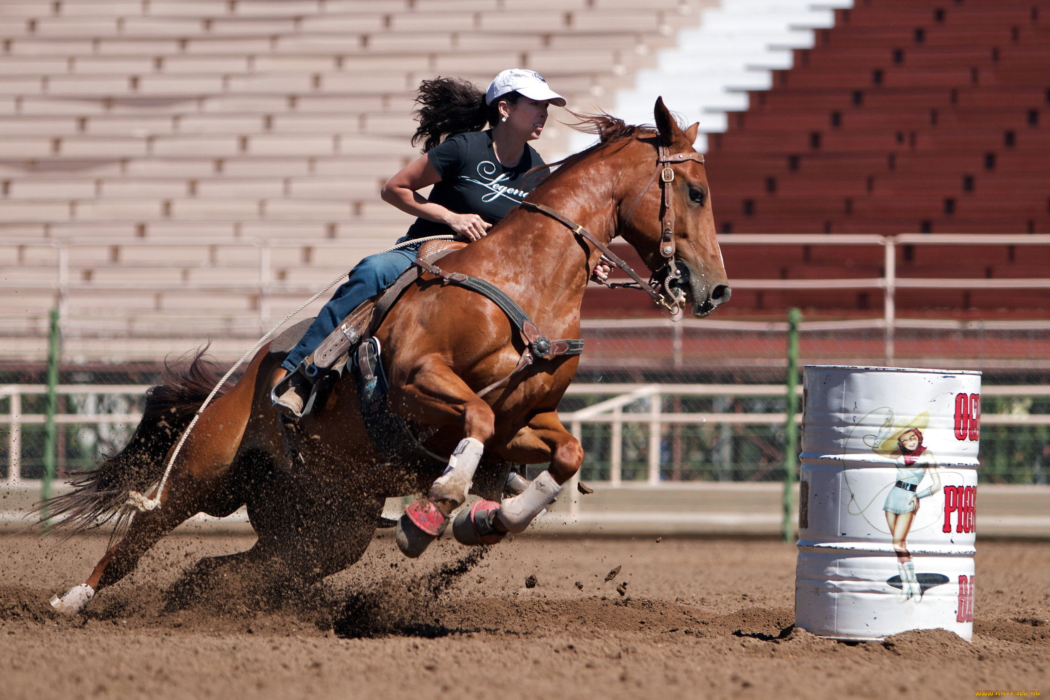 Horse Screwing Women