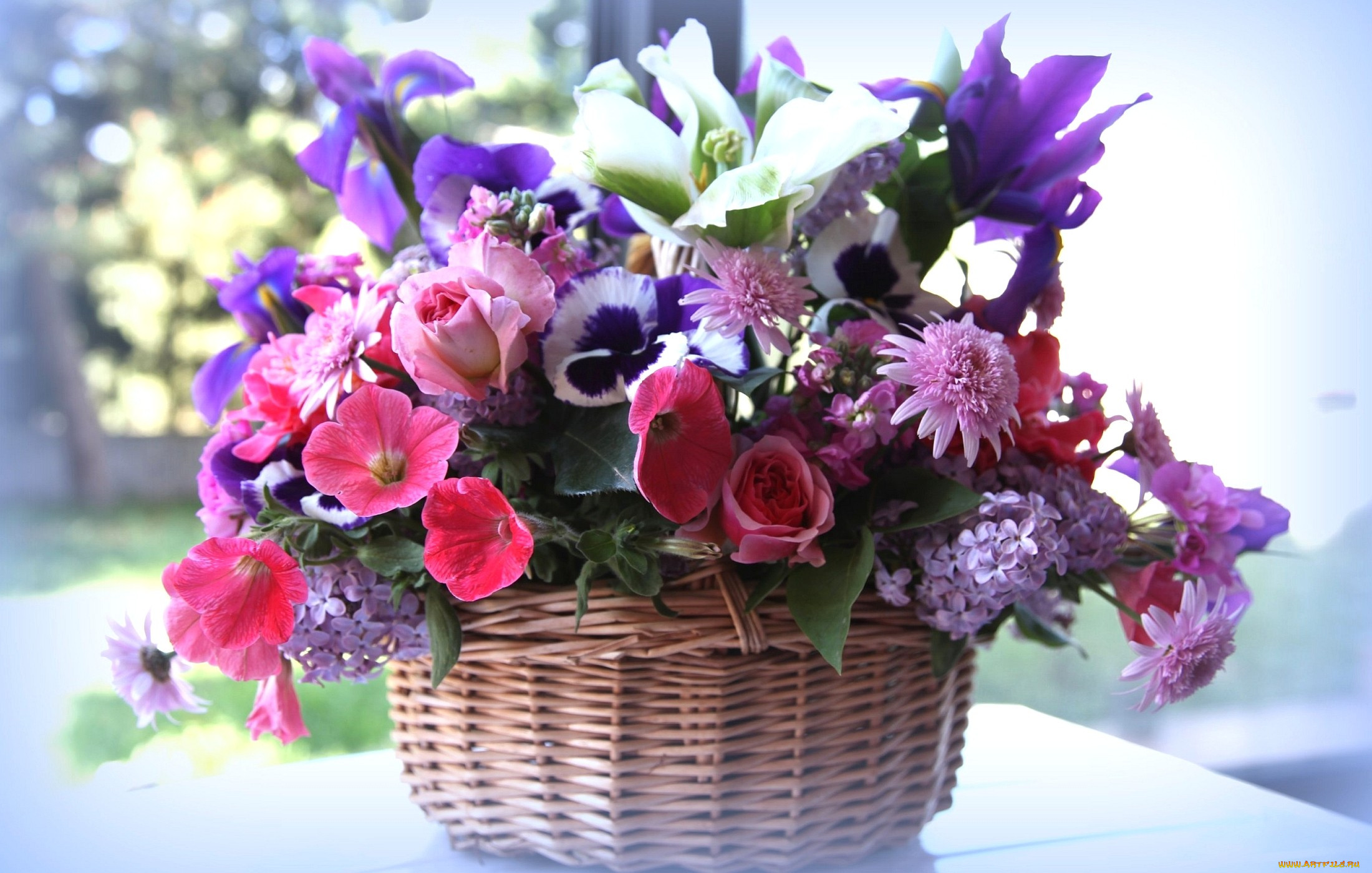 My new flowers. Красивый букет. Букет в корзинке. Корзина с цветами. Корзина с весенними цветами.