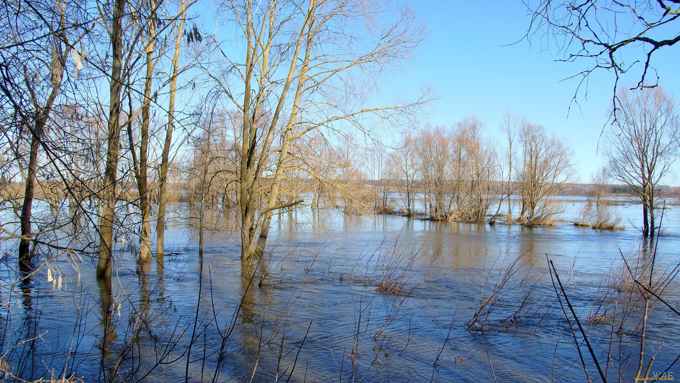 Озера разлив реки. Весенний разлив реки Шерна.