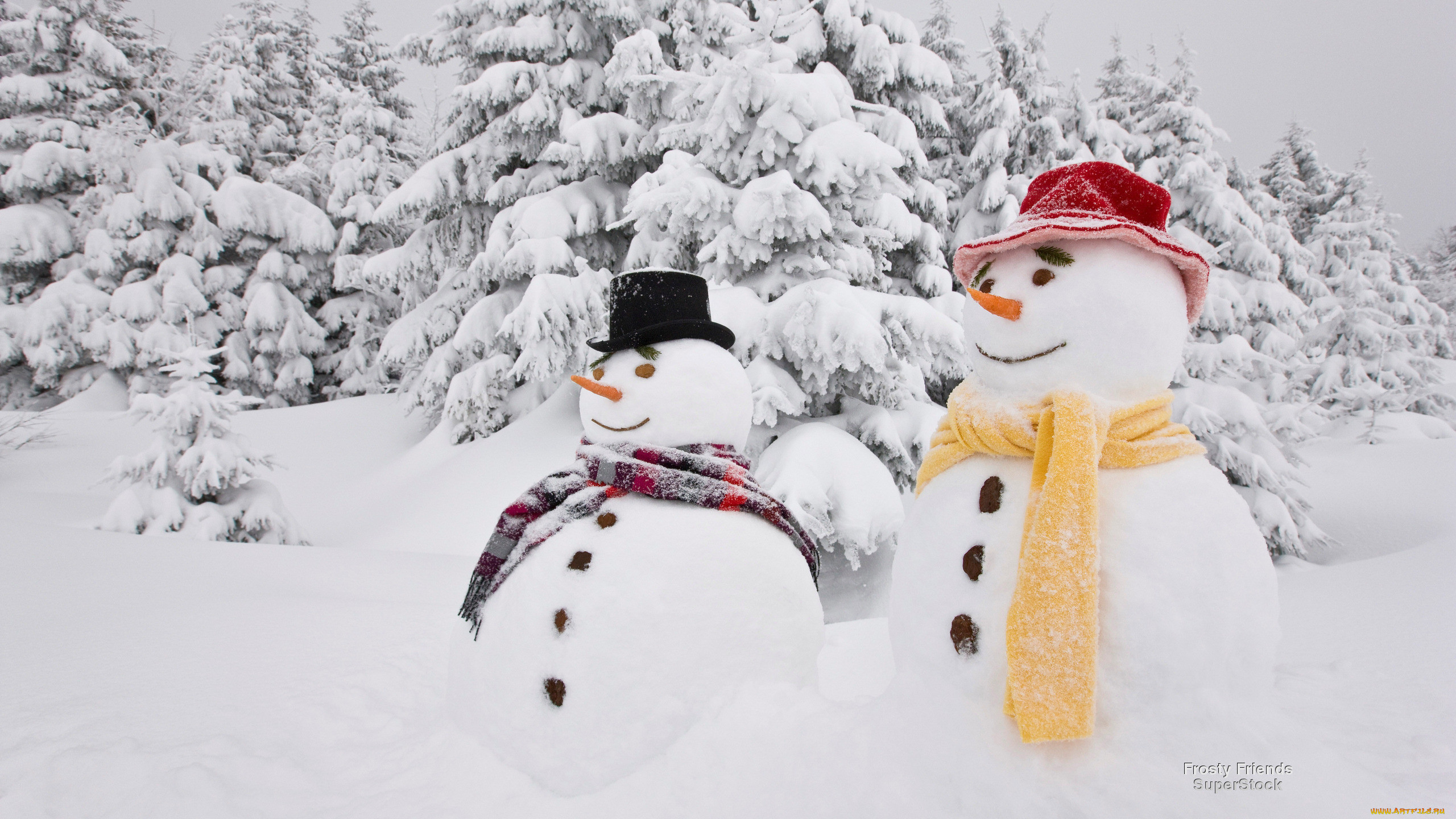 Сугроб снеговик. Винтер Сноумен Винтер. Снеговик красивый. Новогодний Снеговик. Снеговик на снегу.