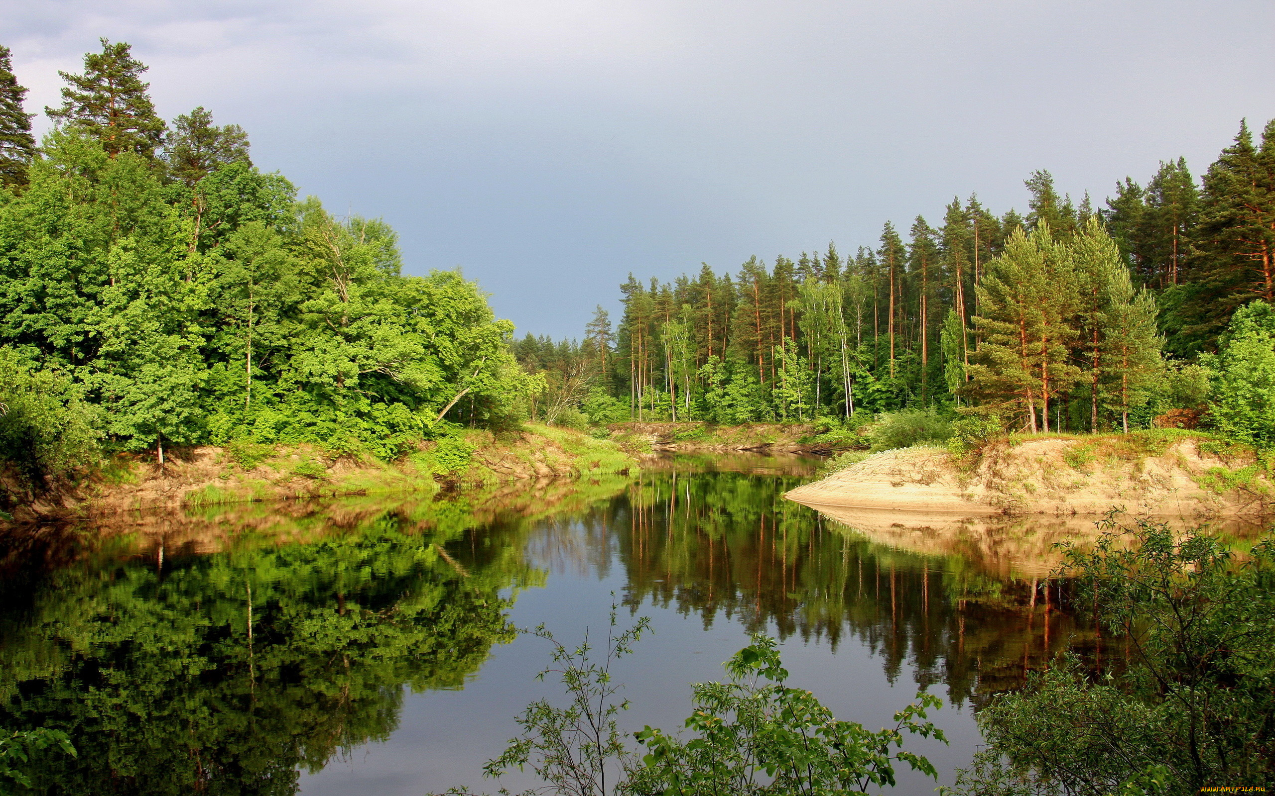 Фото природы лес река