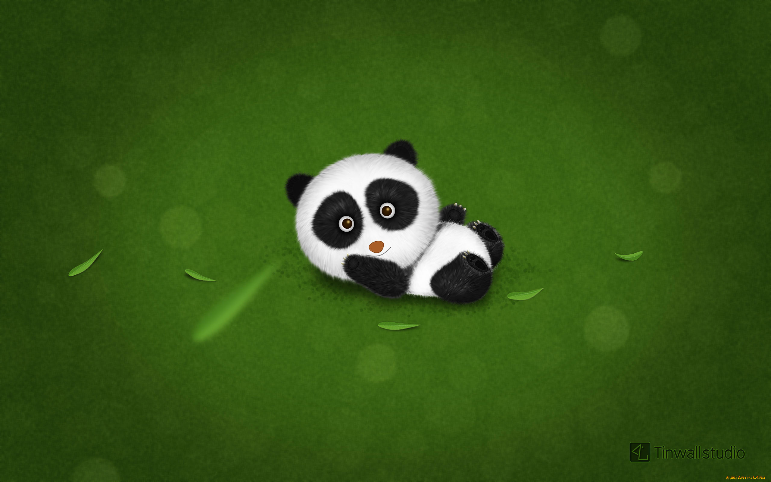 Cute Panda