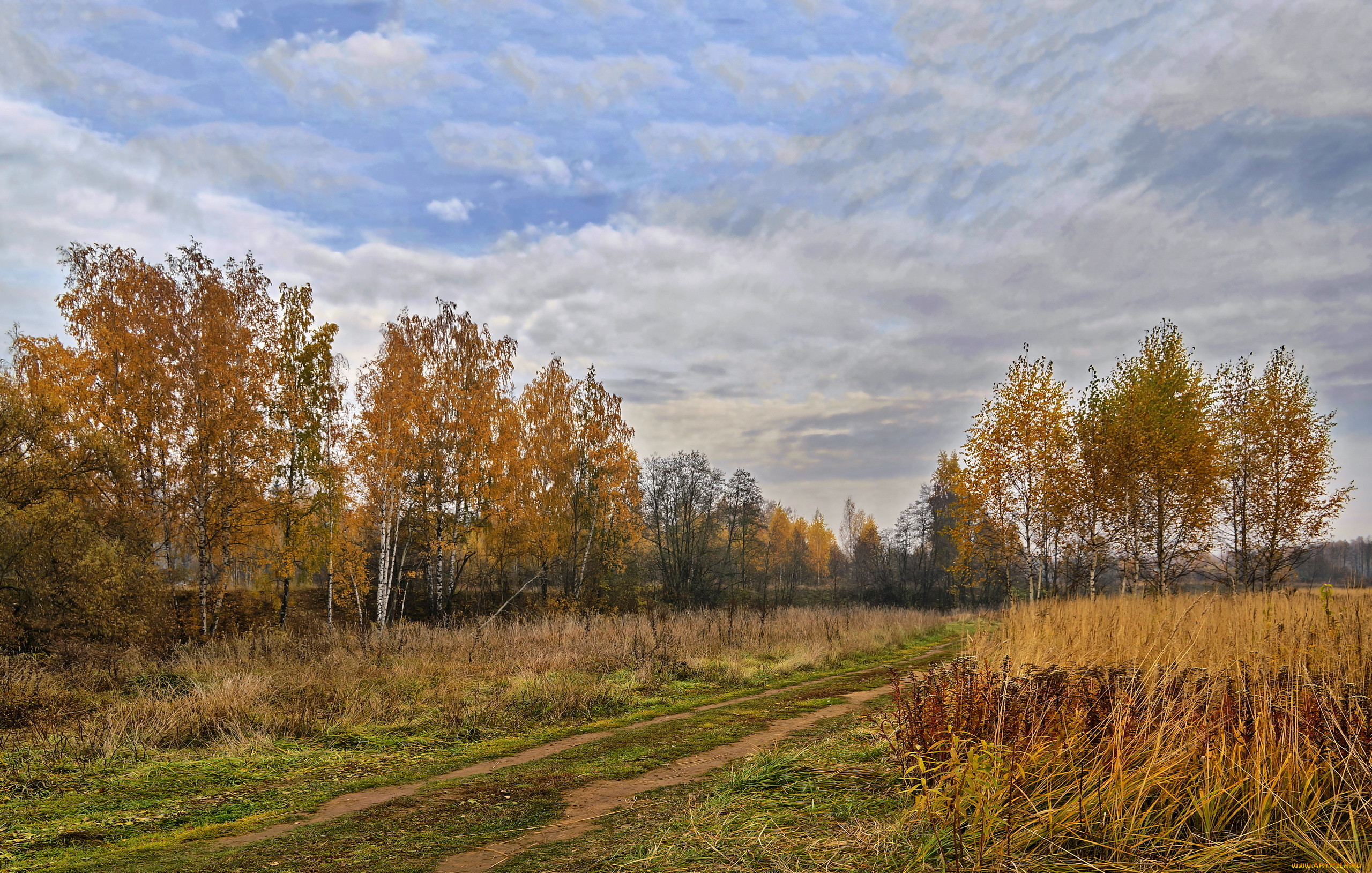 Осенний Луг Фото Высокого Качества