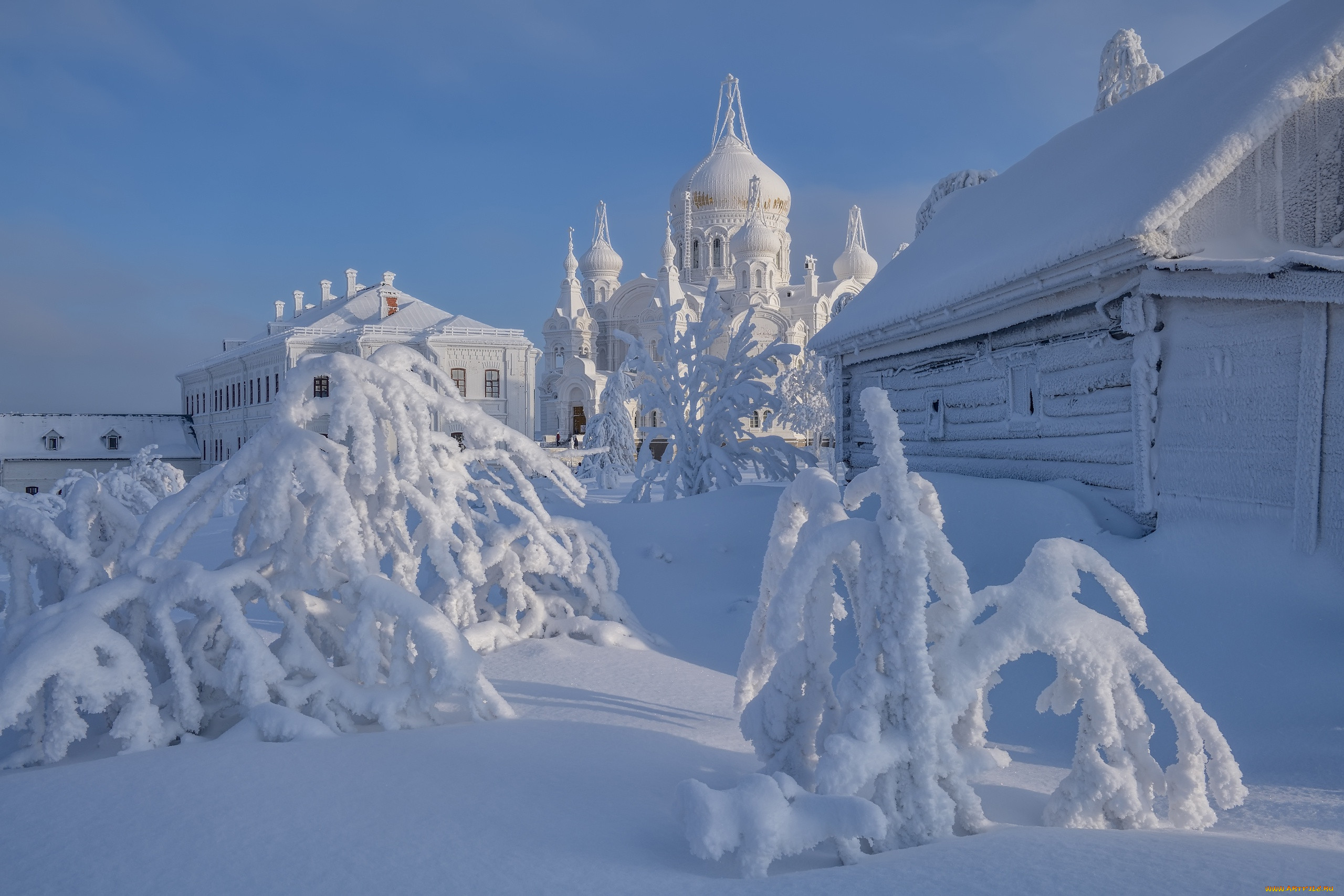 Белая Россия Фото