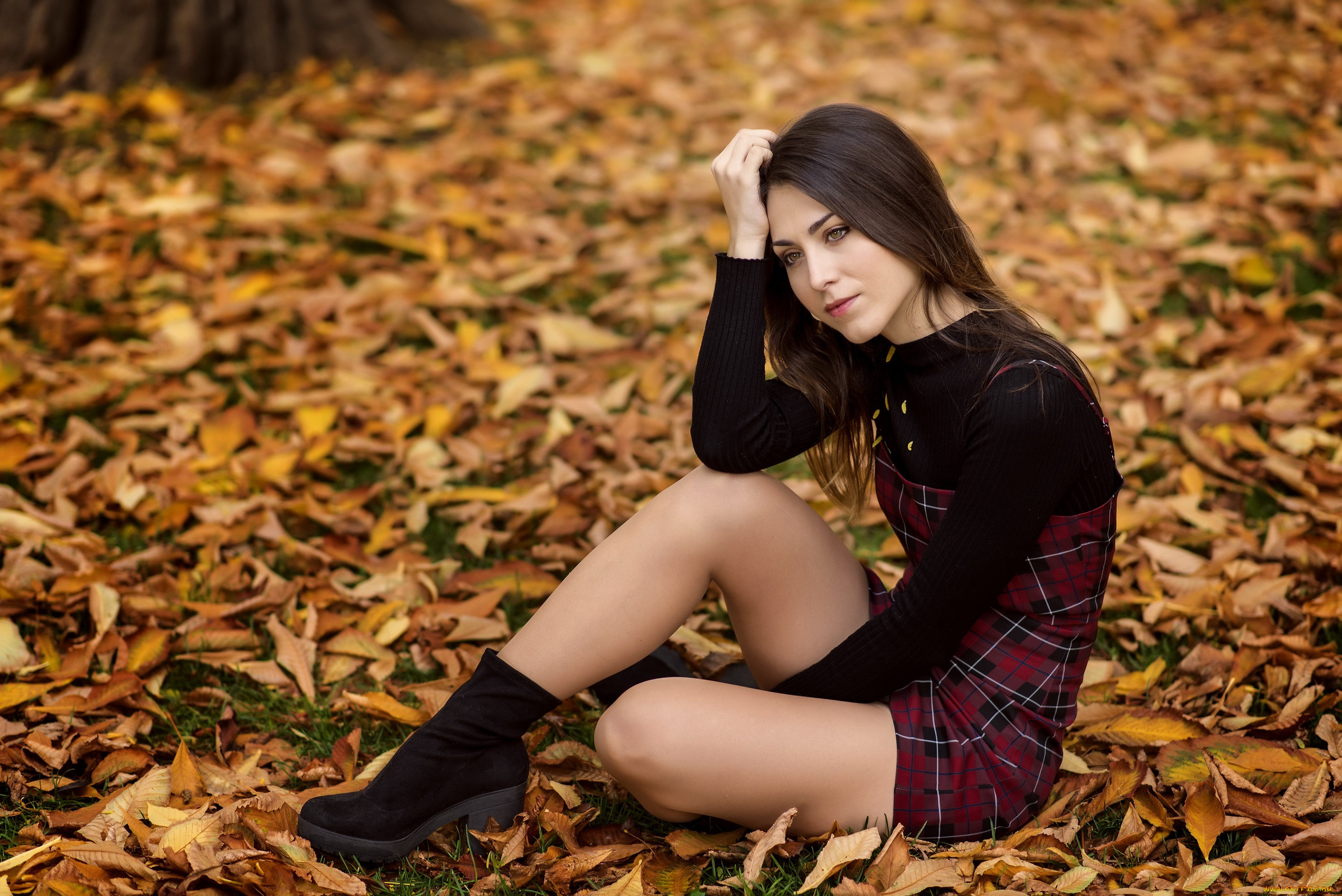 Fall girls. Autumn Falls модель. Девушка осенью. Модели осень. Красавицы в осеннем лесу.