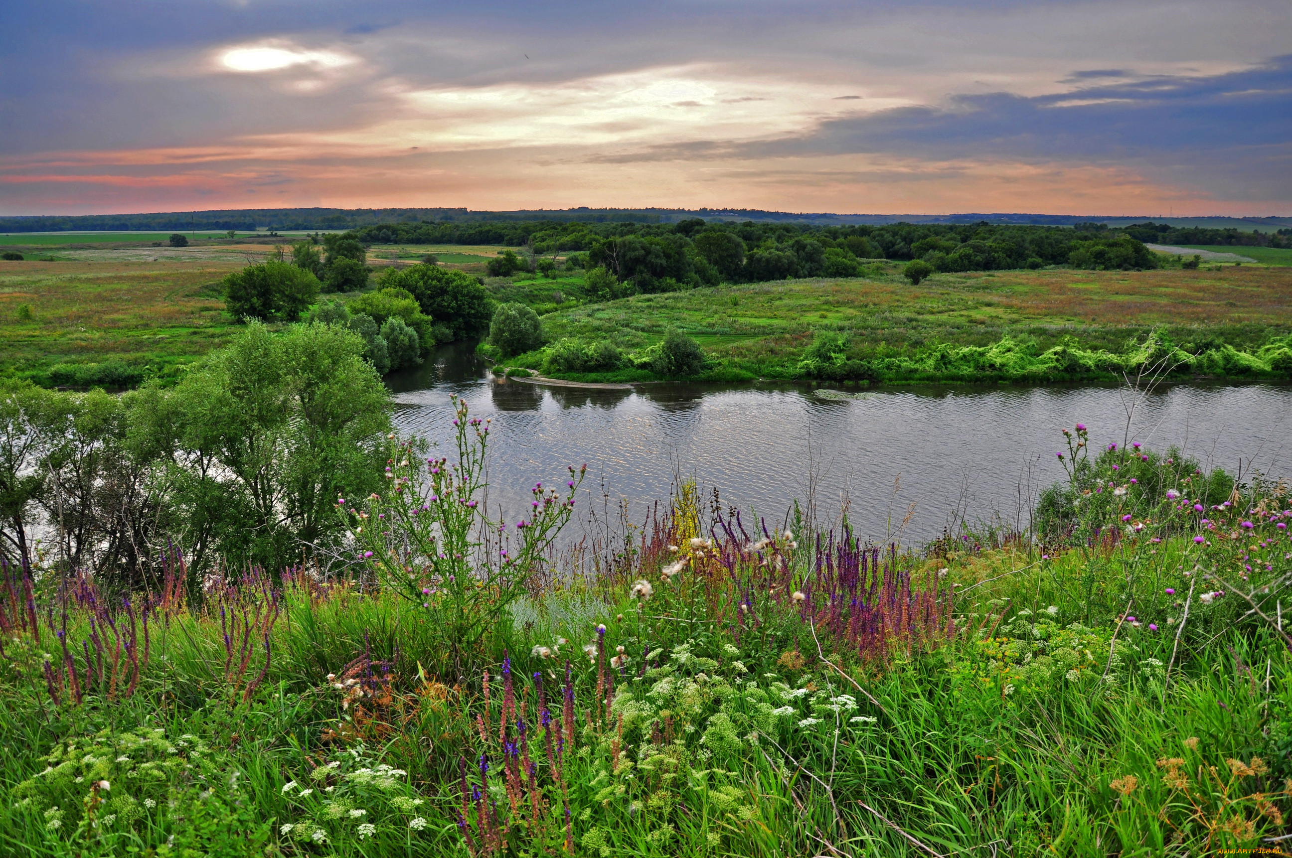 Фото Реки Луги