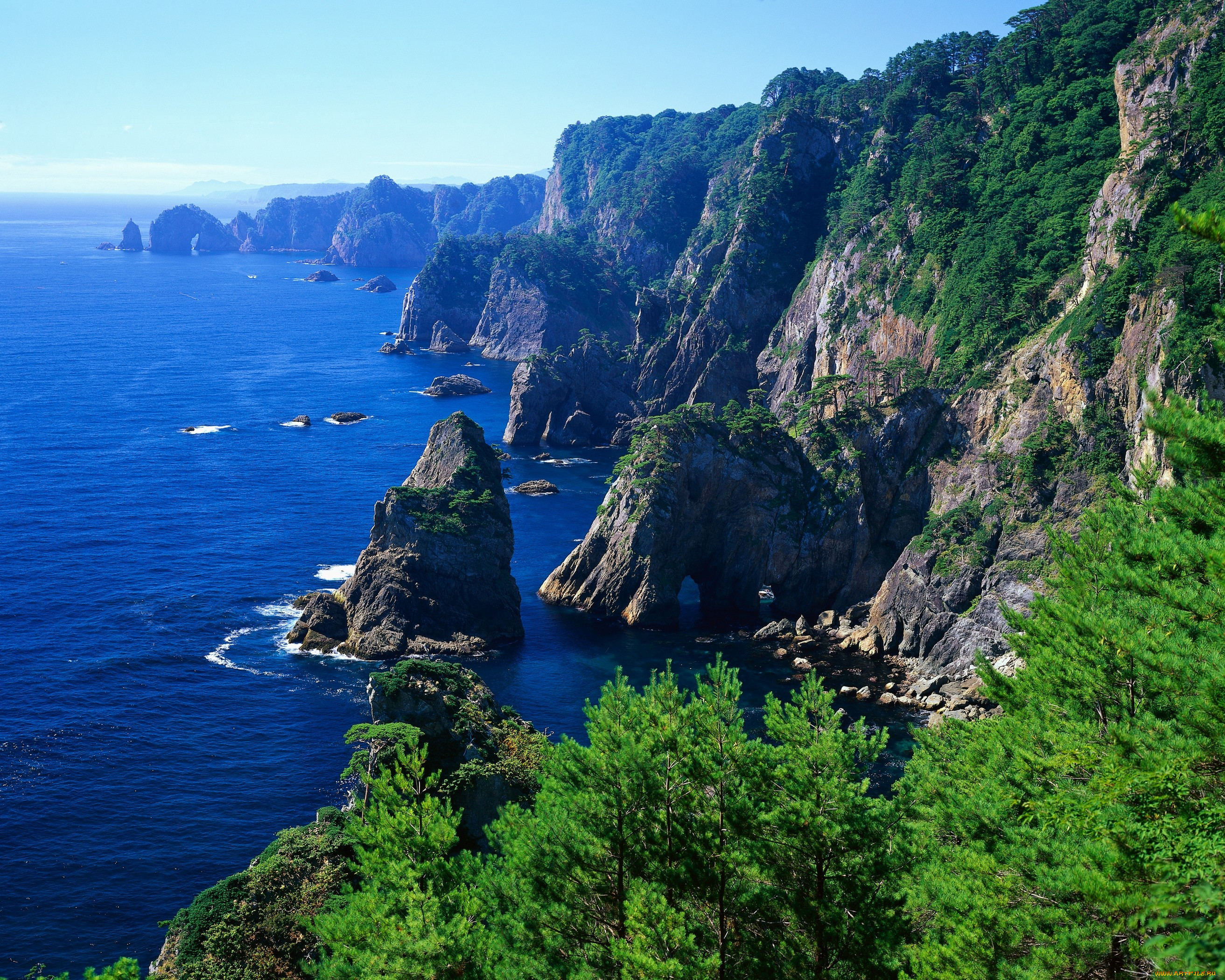 Картинки Лес Море Горы