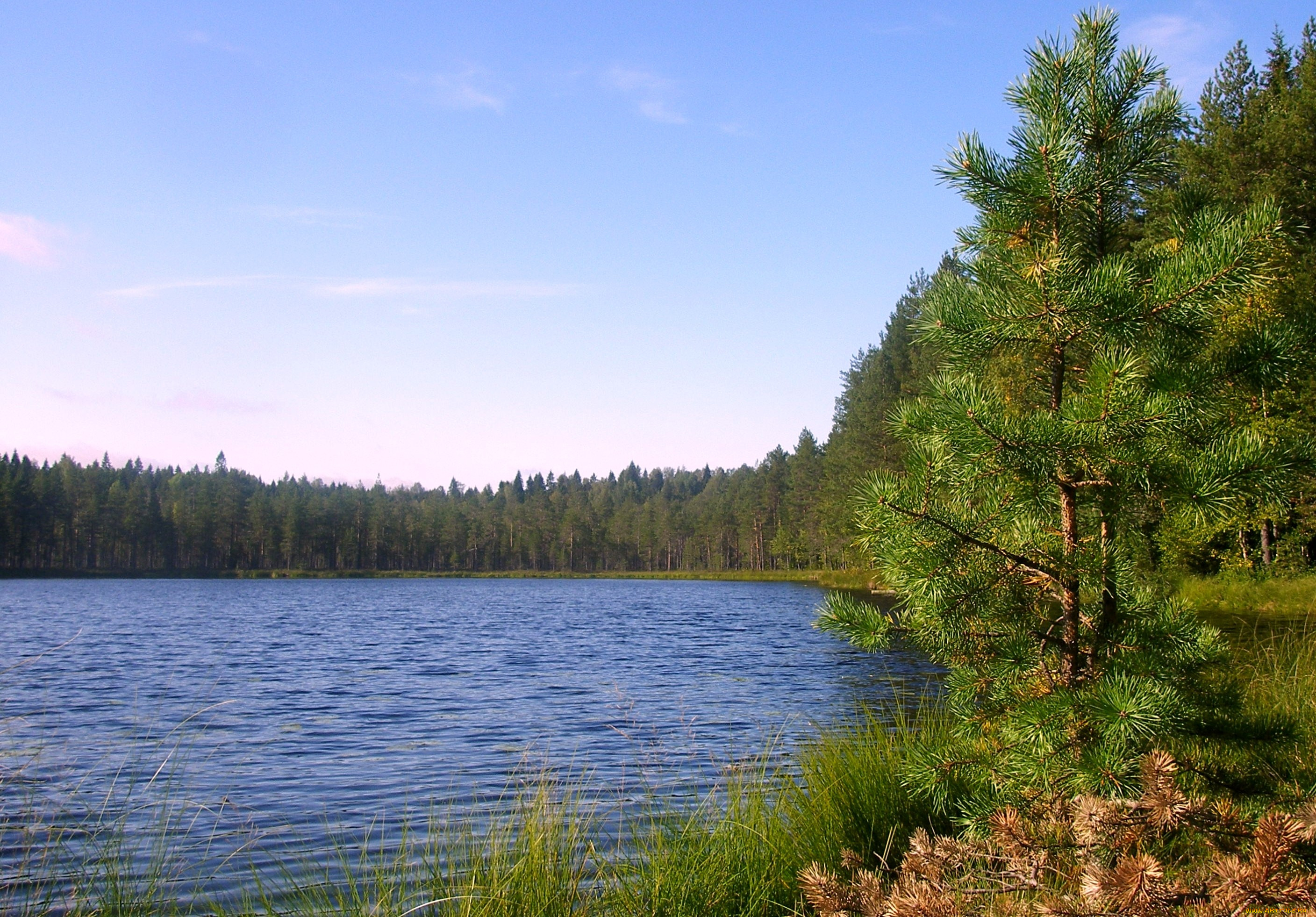 Озеро Реальное Фото