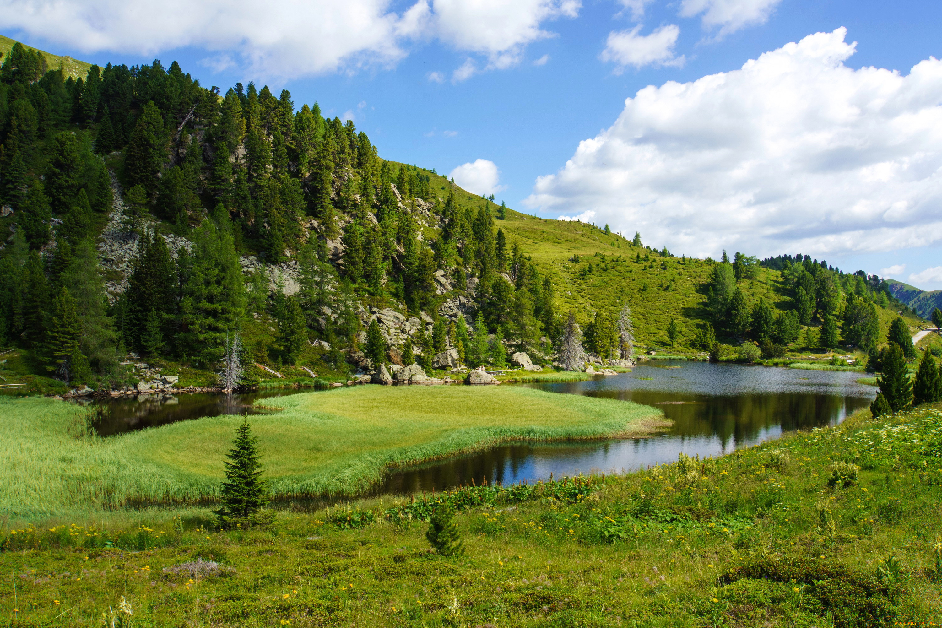 Фото Красивого Места В Лесу