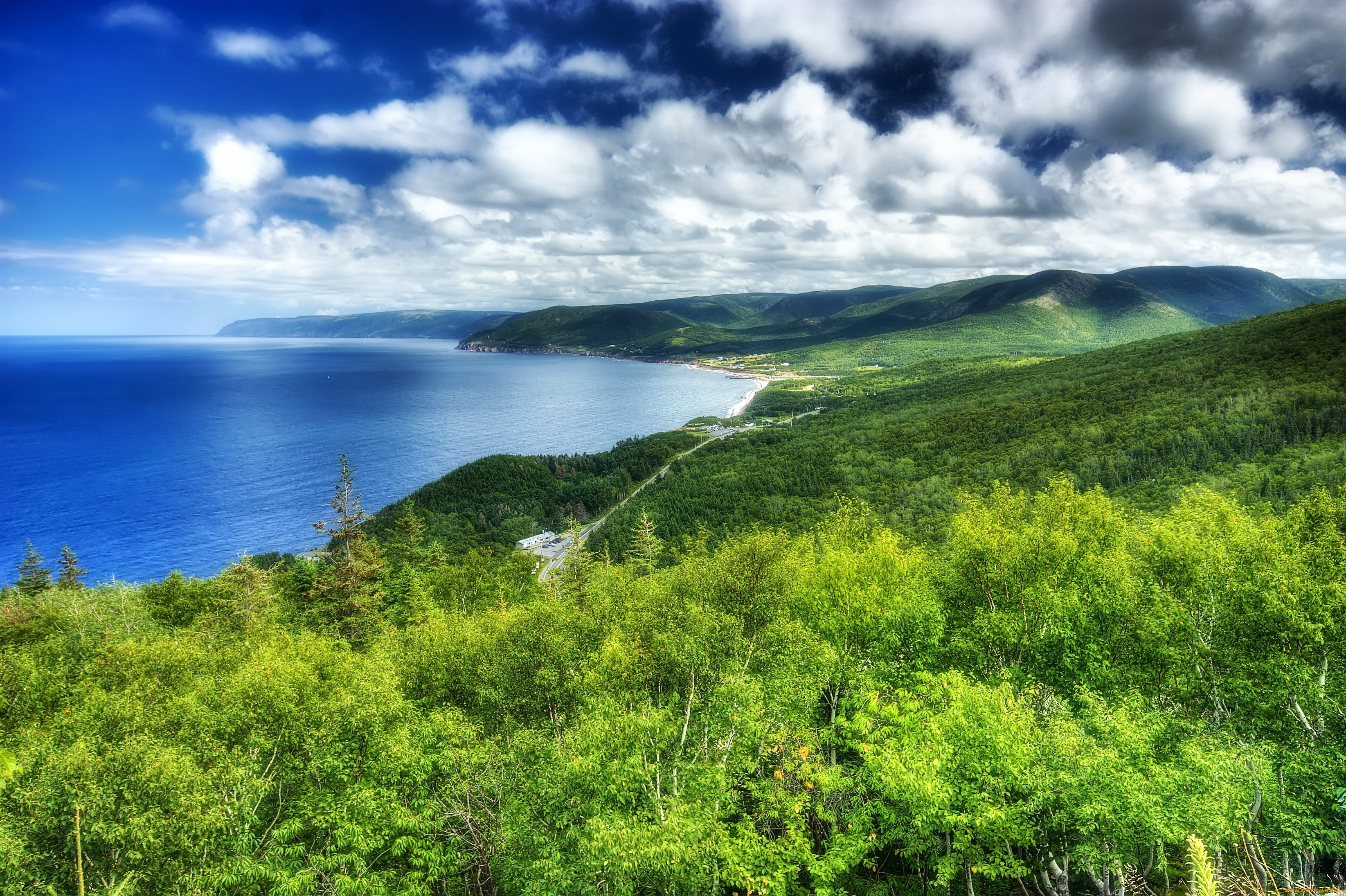 Картинки Лес Море Горы