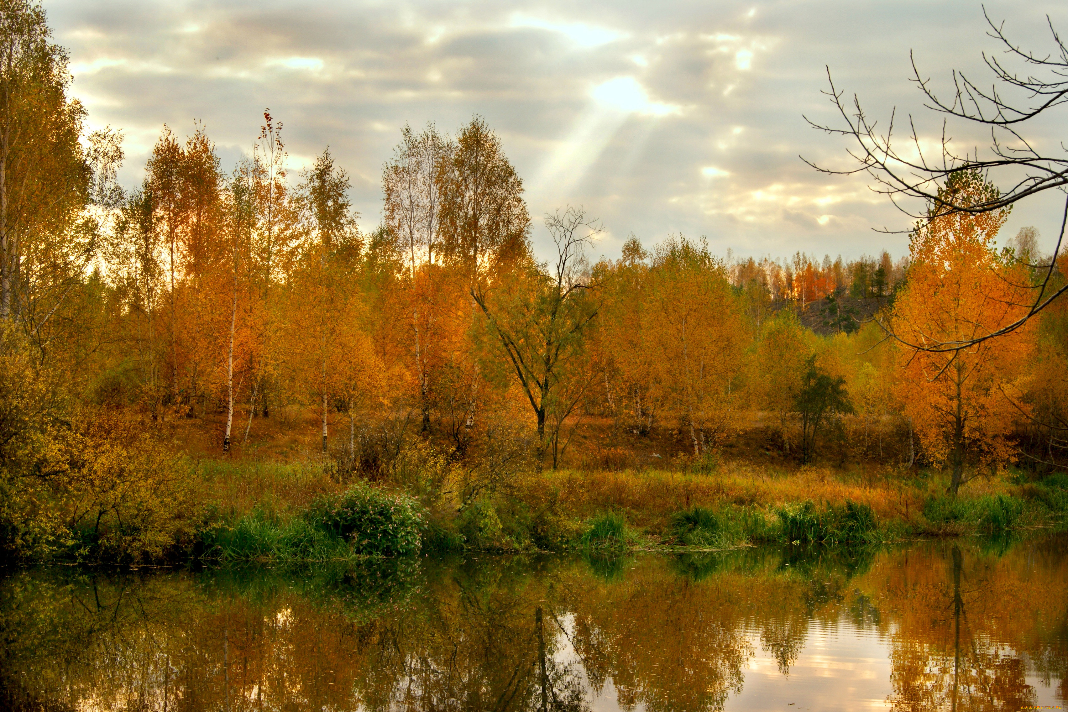 Осенние Дали Фото