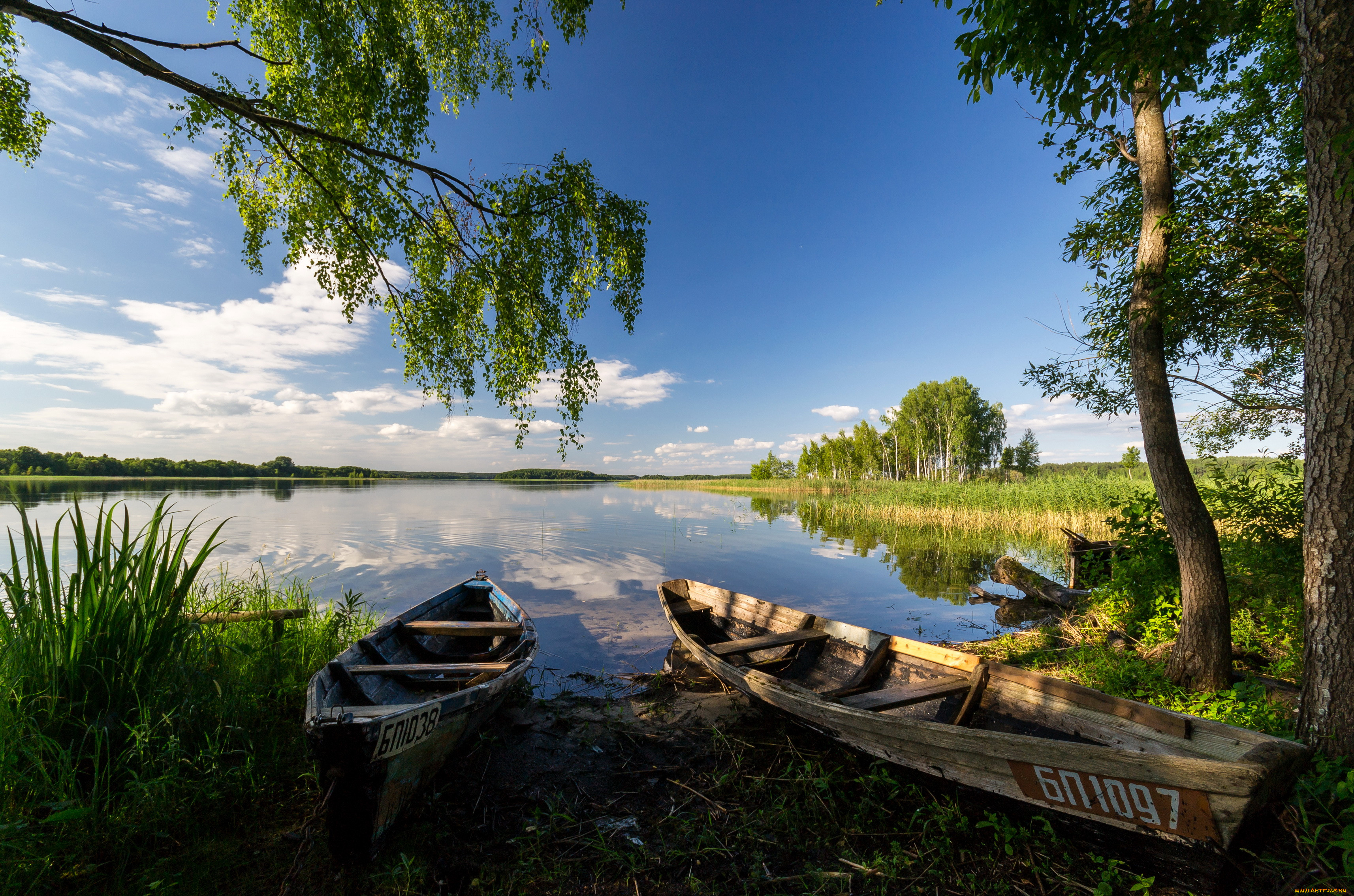 Лучшие Фото Природы Беларуси