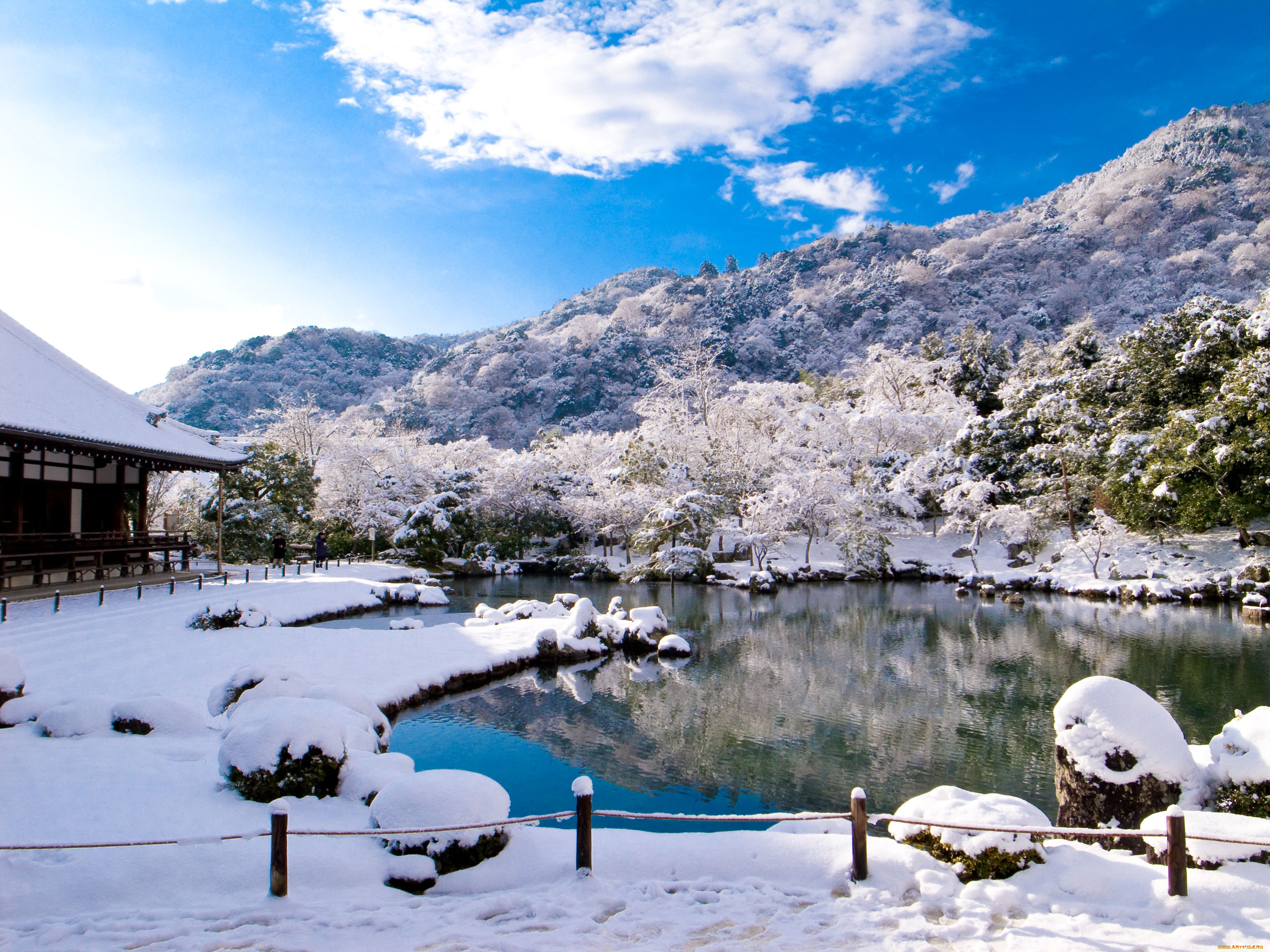 Winter japan. Япония зимой. Природа Японии зимой. Японский сад зимой. Китай зимой.