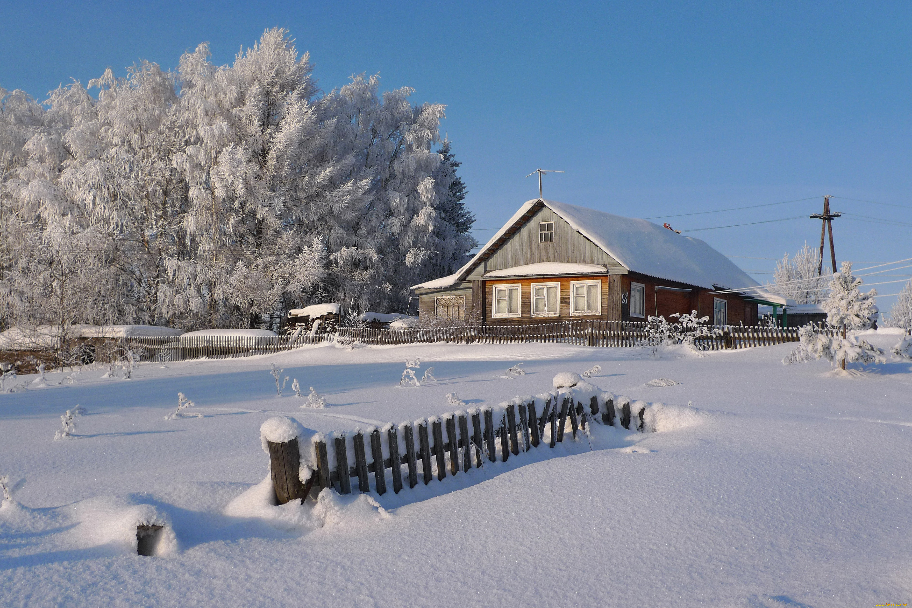 Фото Зима Природа Деревня