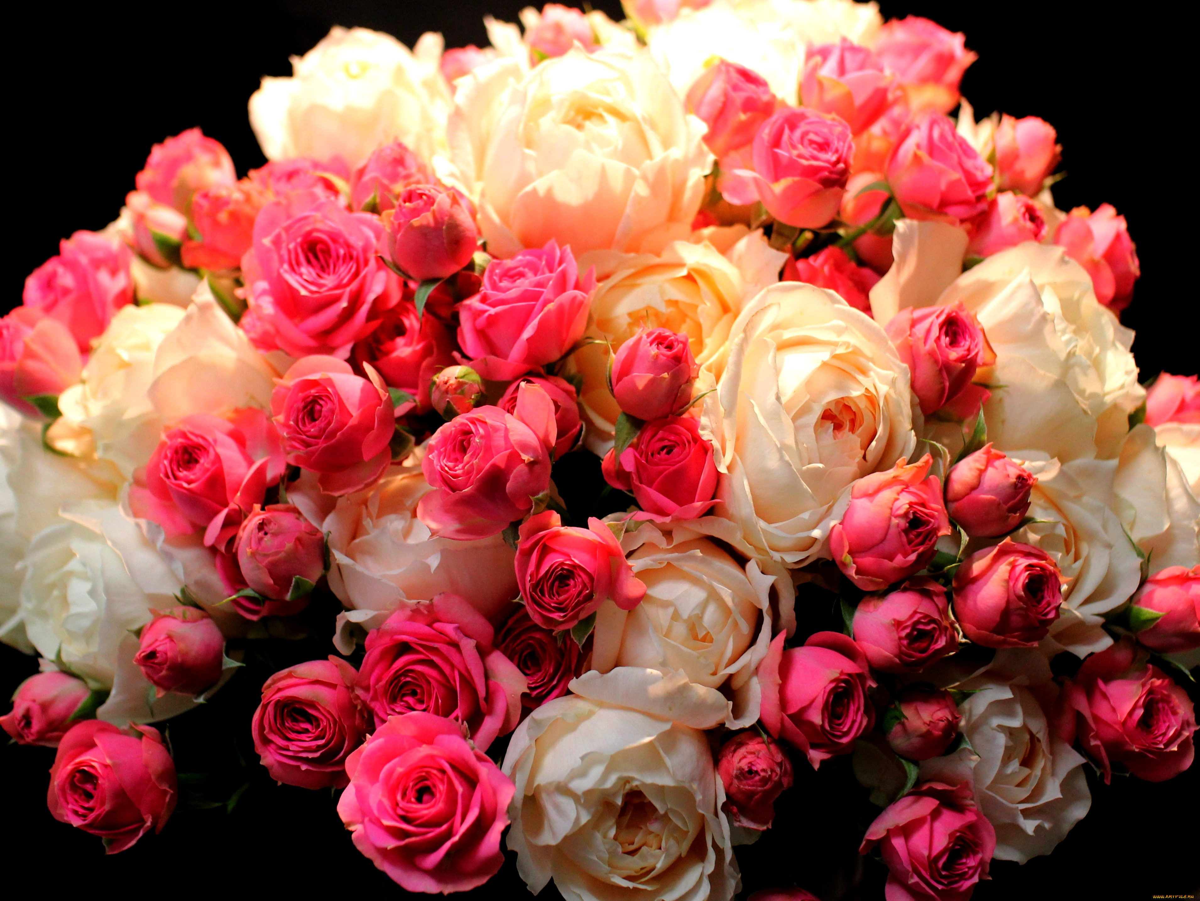 Красивые фото роз большие. Букет шикарный. Роскошные цветы. Шикарные цветы. Шикарный букет роз.